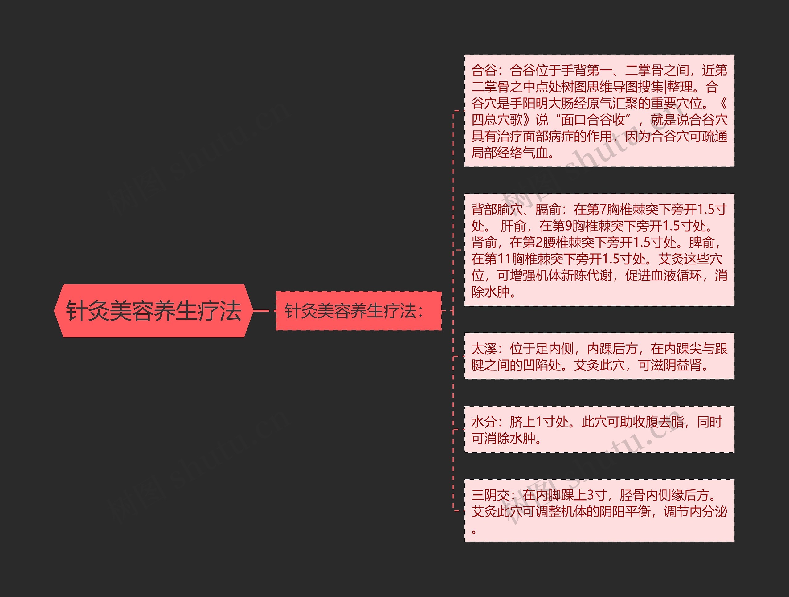针灸美容养生疗法