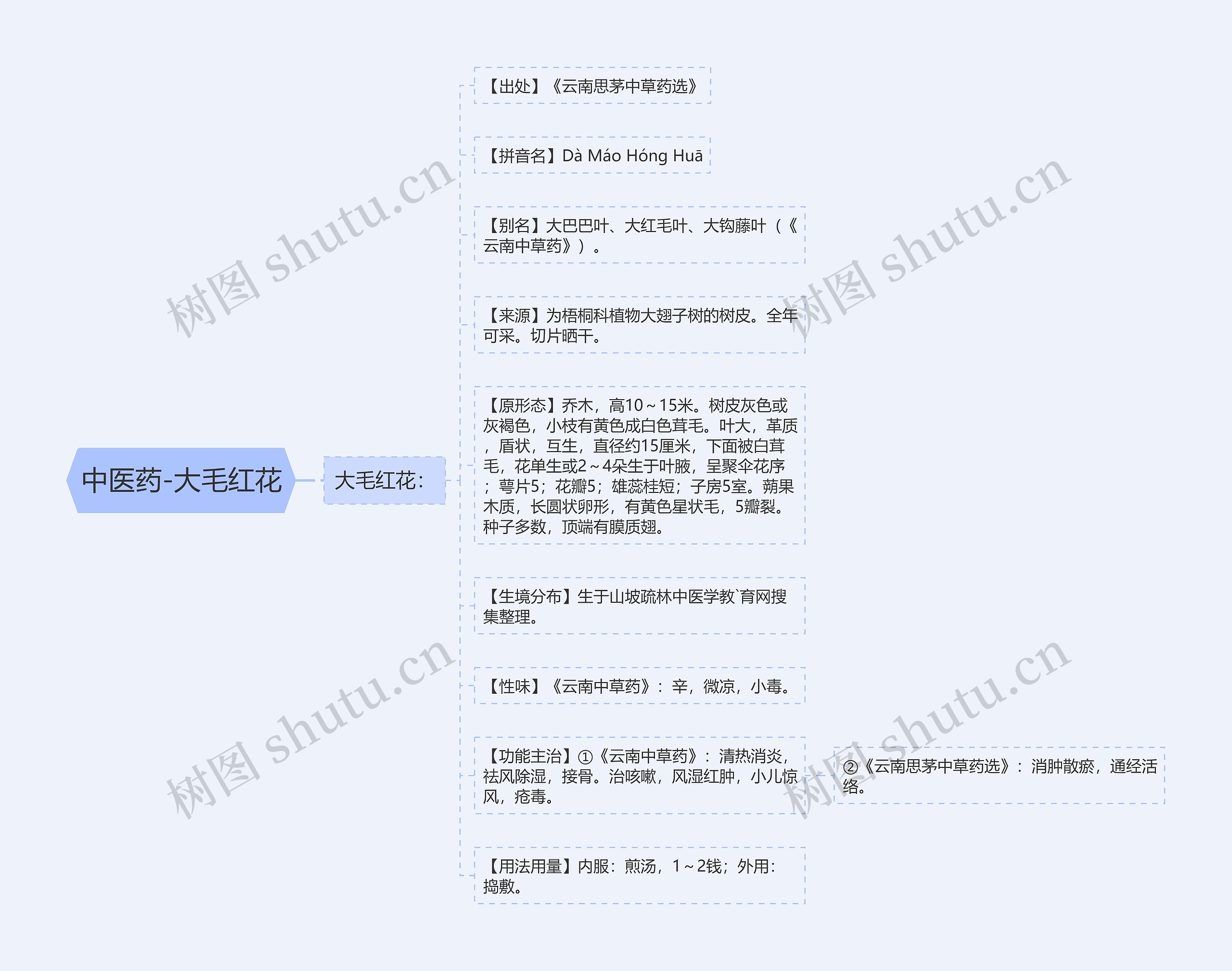 中医药-大毛红花 中医药-大毛红花