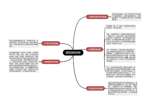 颌面部的检查