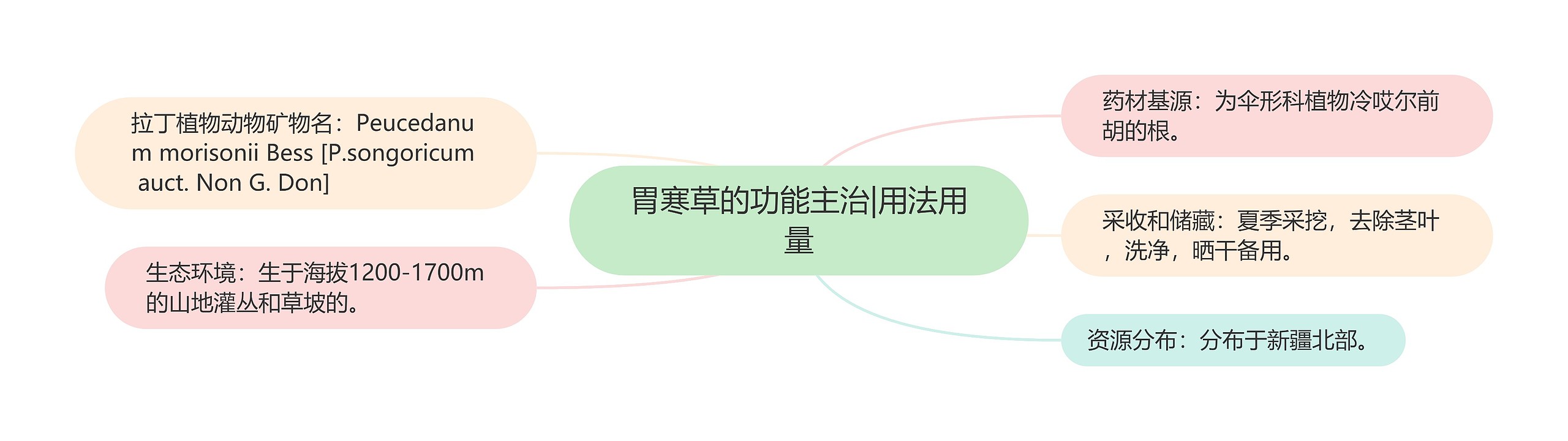 胃寒草的功能主治|用法用量