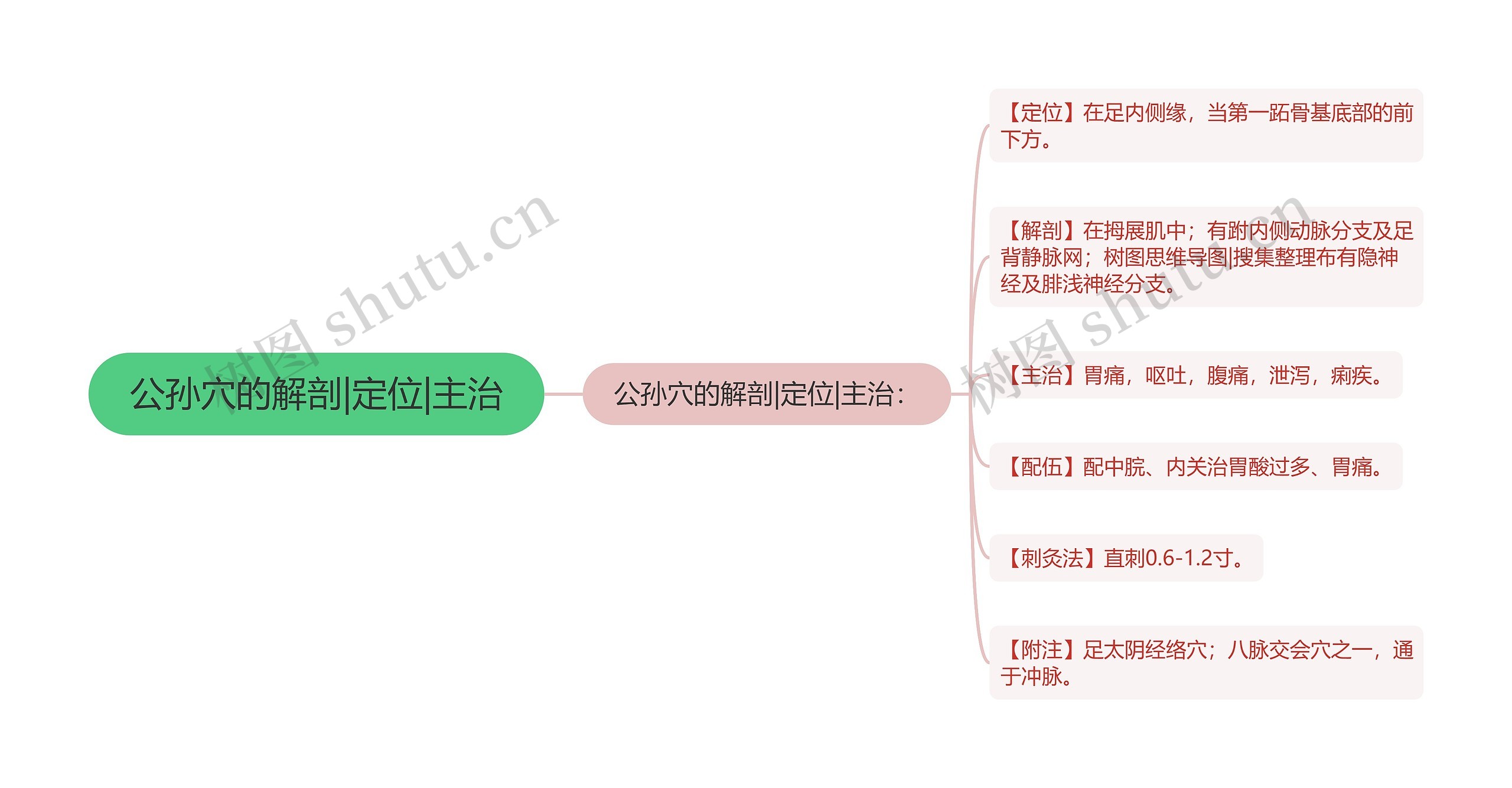 公孙穴的解剖|定位|主治