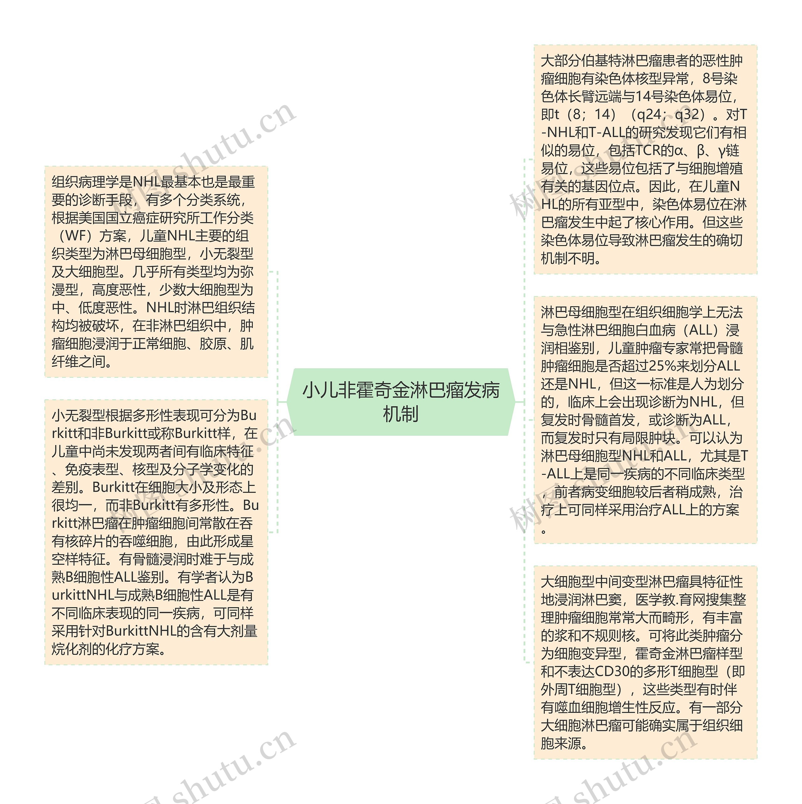 小儿非霍奇金淋巴瘤发病机制思维导图