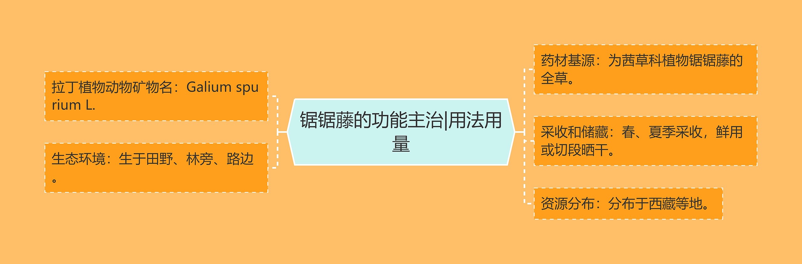 锯锯藤的功能主治|用法用量 锯锯藤的功能主治|用法用量