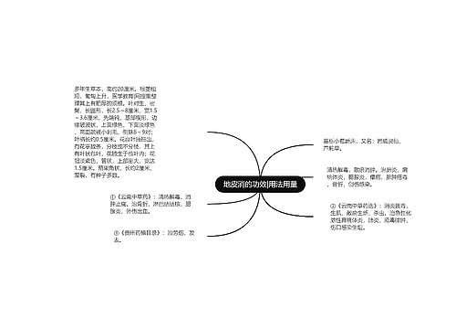 地皮消的功效|用法用量