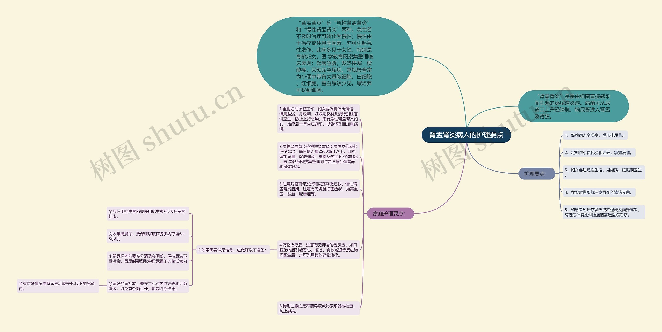 肾盂肾炎病人的护理要点 肾盂肾炎病人的护理要点