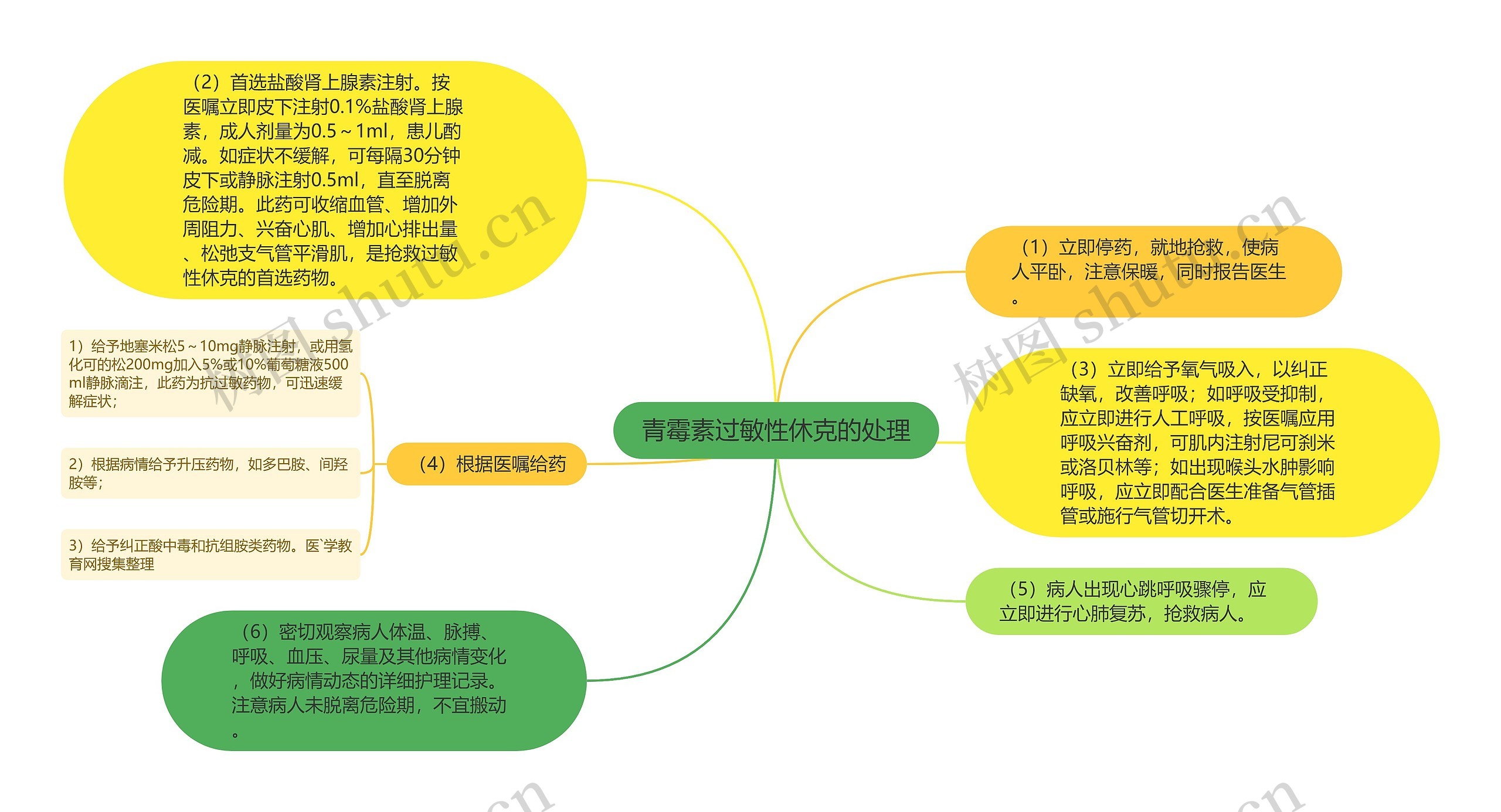 青霉素过敏性休克的处理思维导图