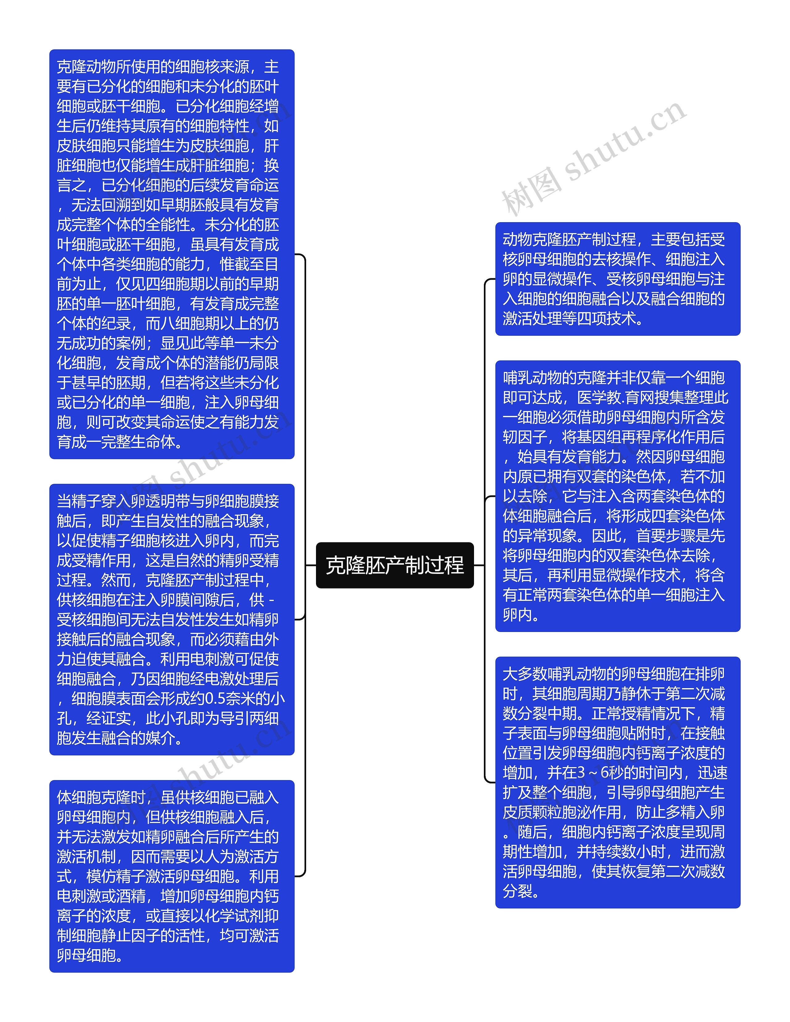 克隆胚产制过程