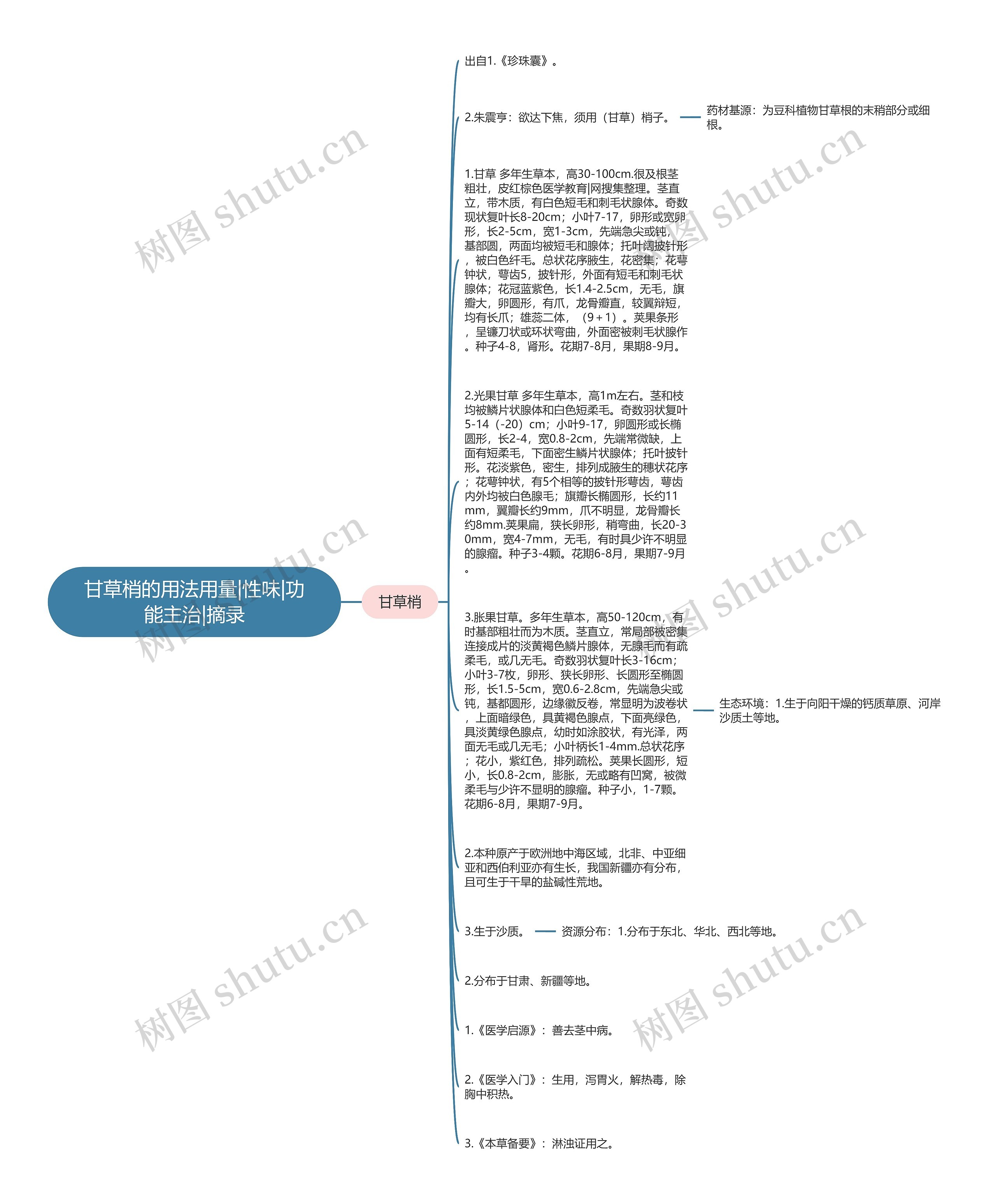 甘草梢的用法用量|性味|功能主治|摘录思维导图