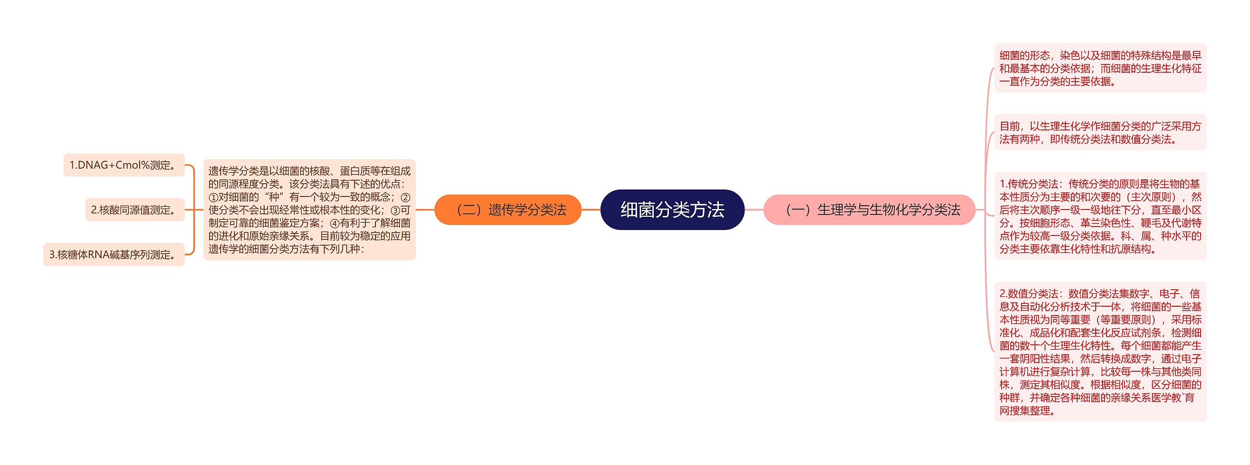 细菌分类方法思维导图