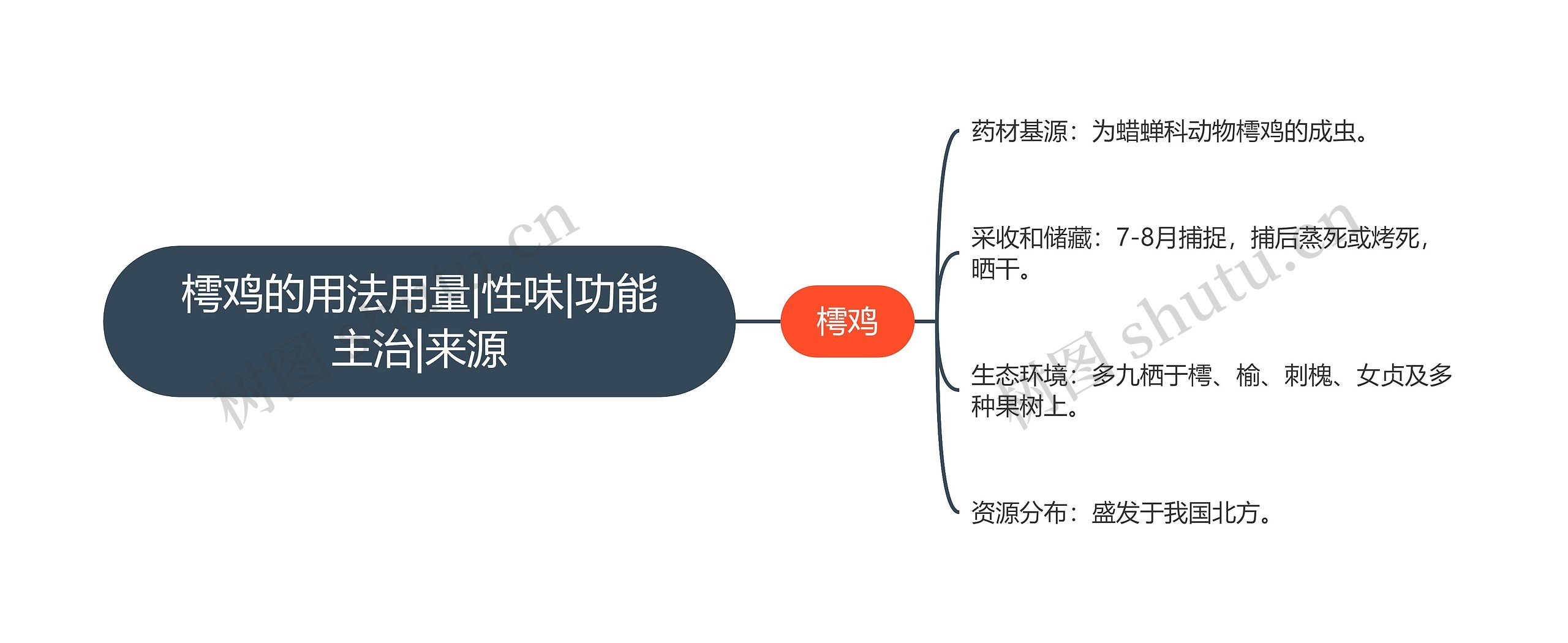 樗鸡的用法用量|性味|功能主治|来源思维导图