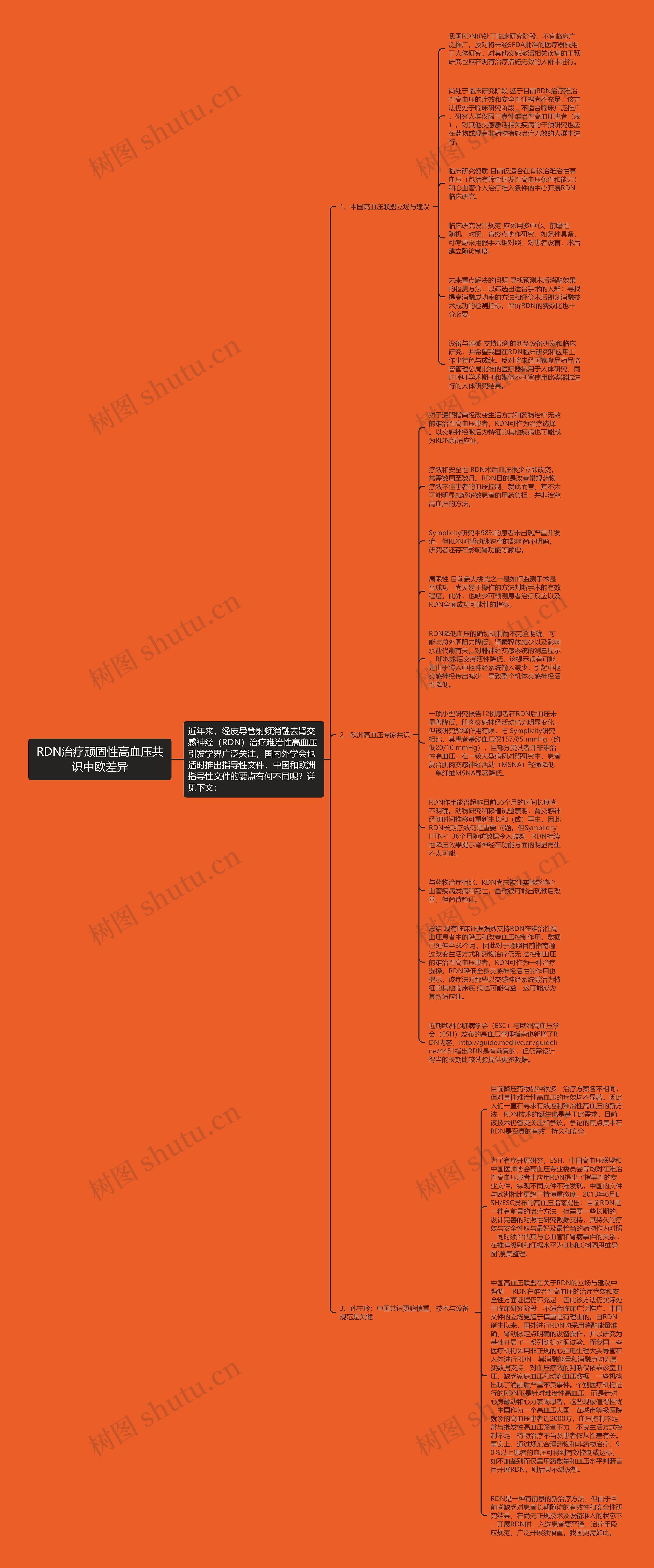 RDN治疗顽固性高血压共识中欧差异思维导图