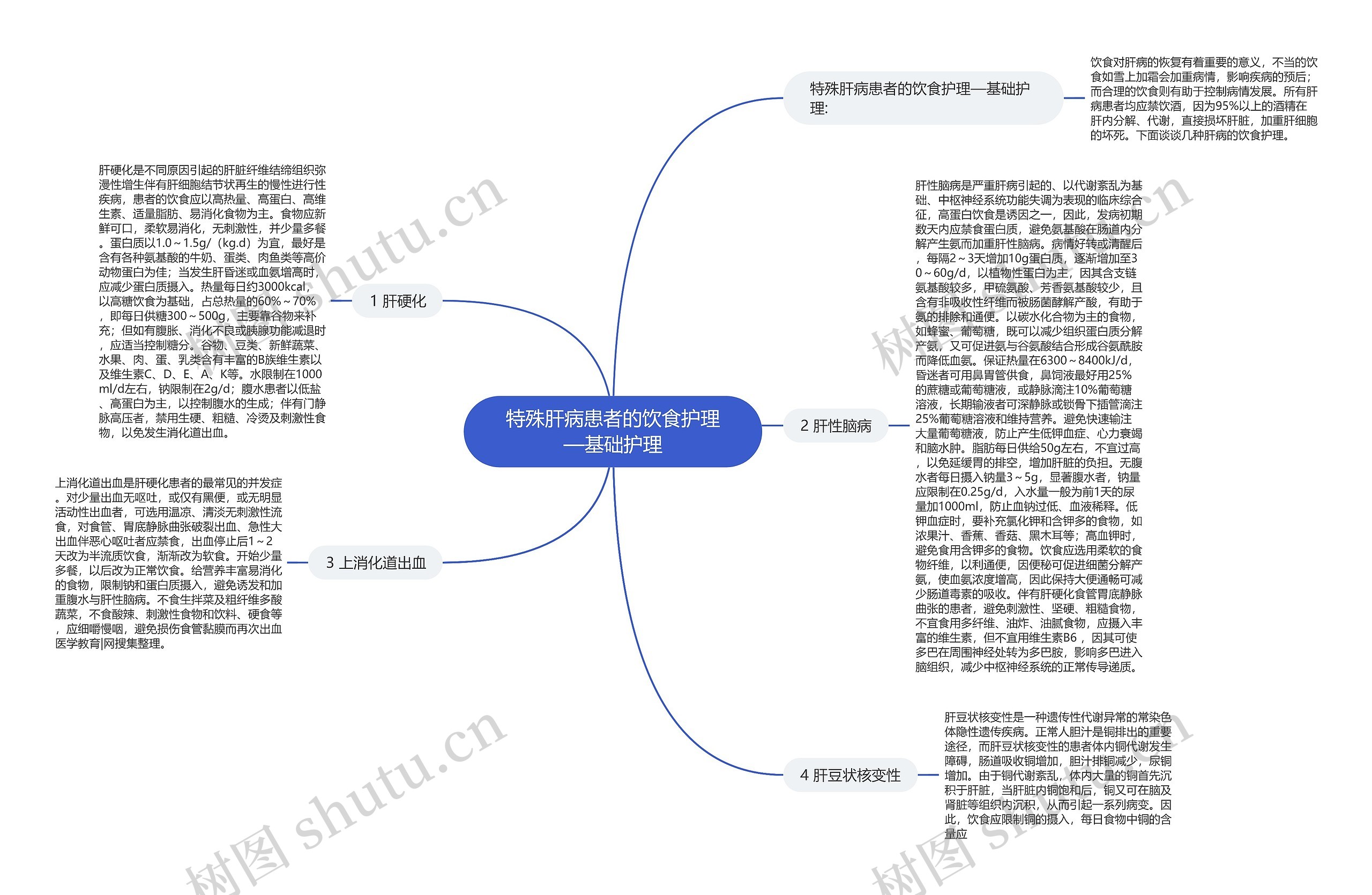 特殊肝病患者的饮食护理—基础护理思维导图