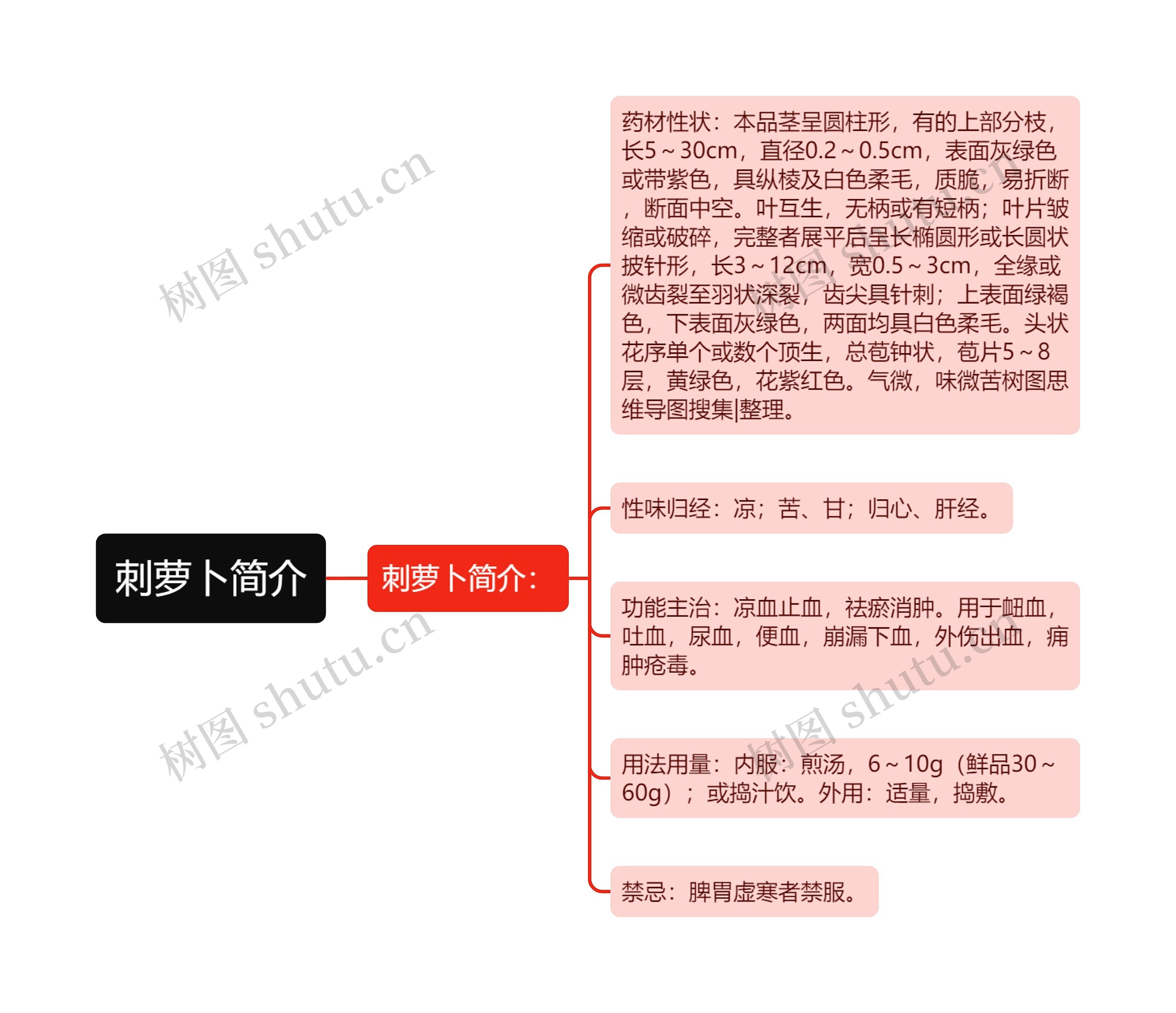 刺萝卜简介思维导图