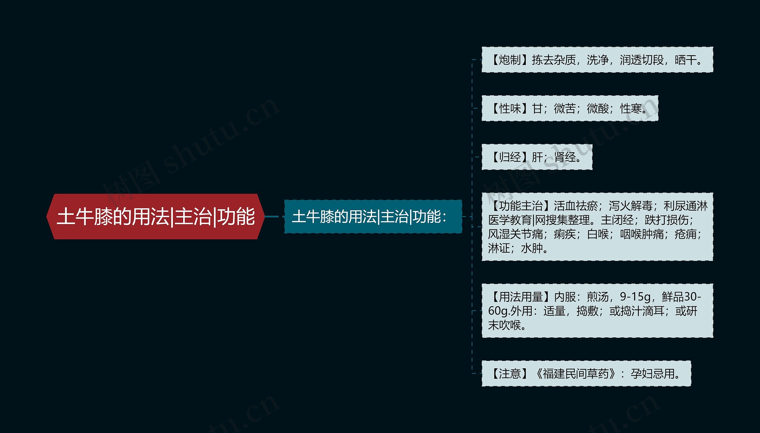 土牛膝的用法|主治|功能