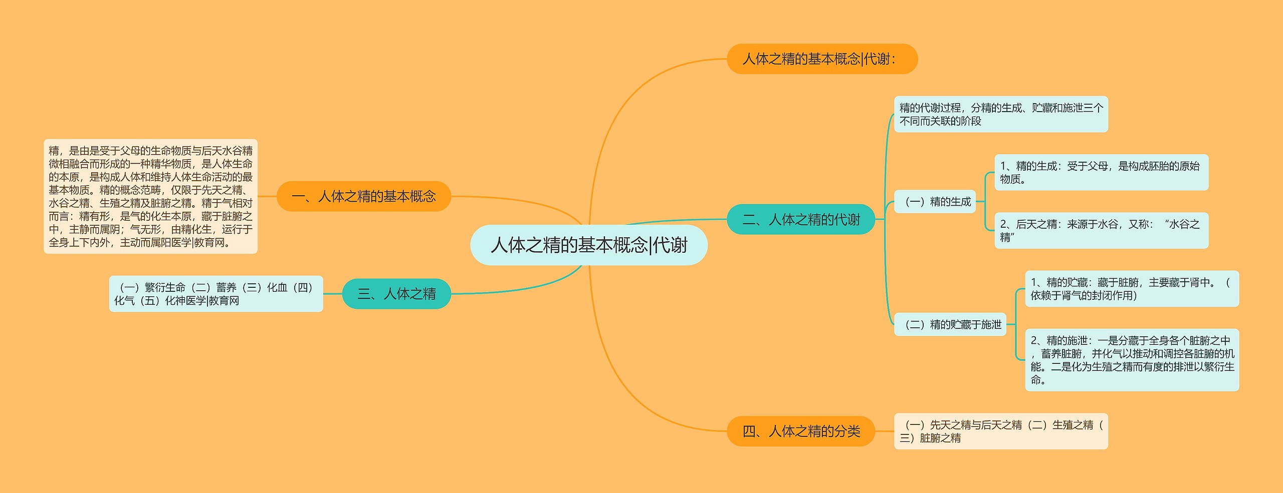 人体之精的基本概念|代谢