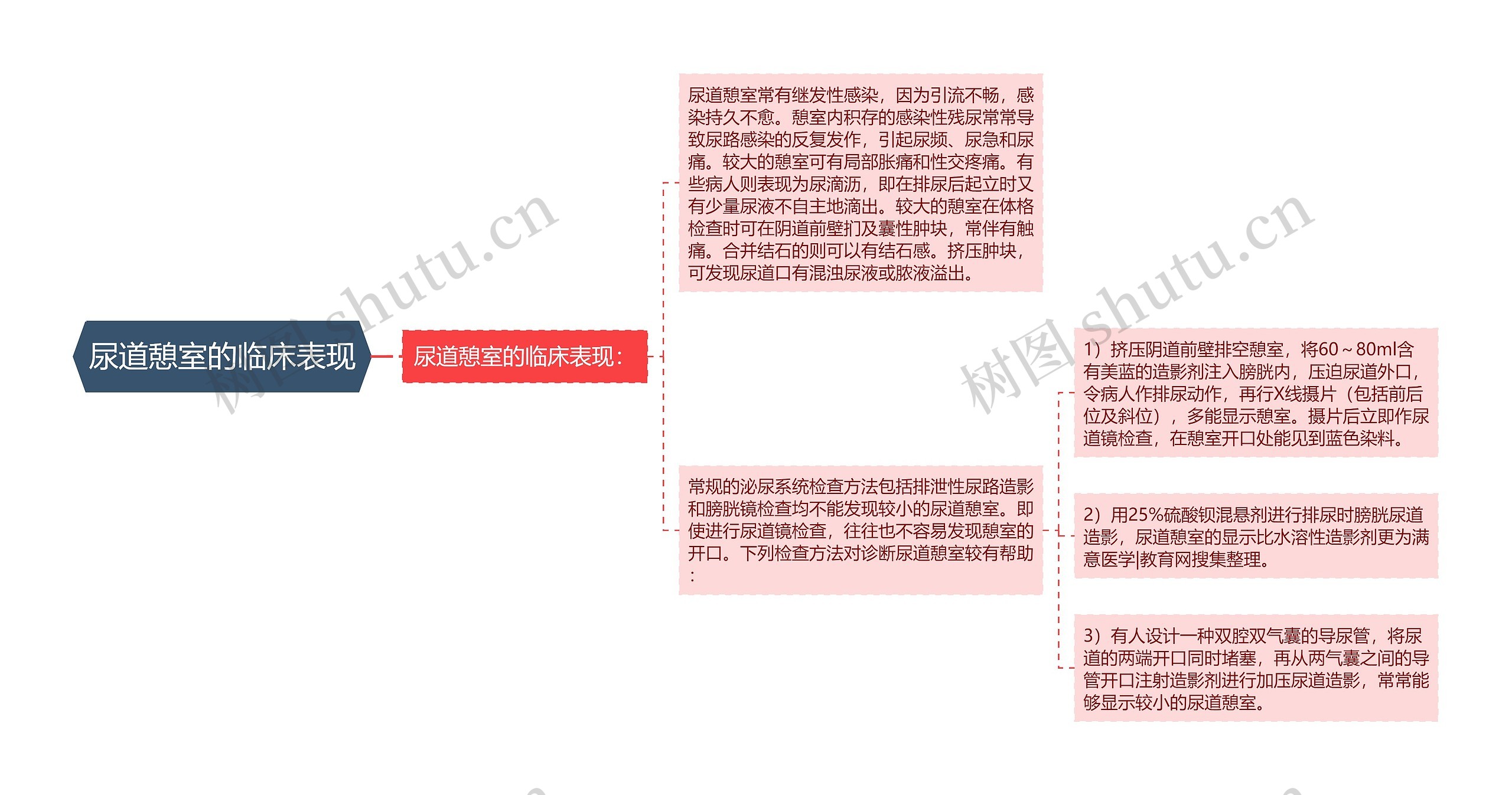 尿道憩室的临床表现思维导图