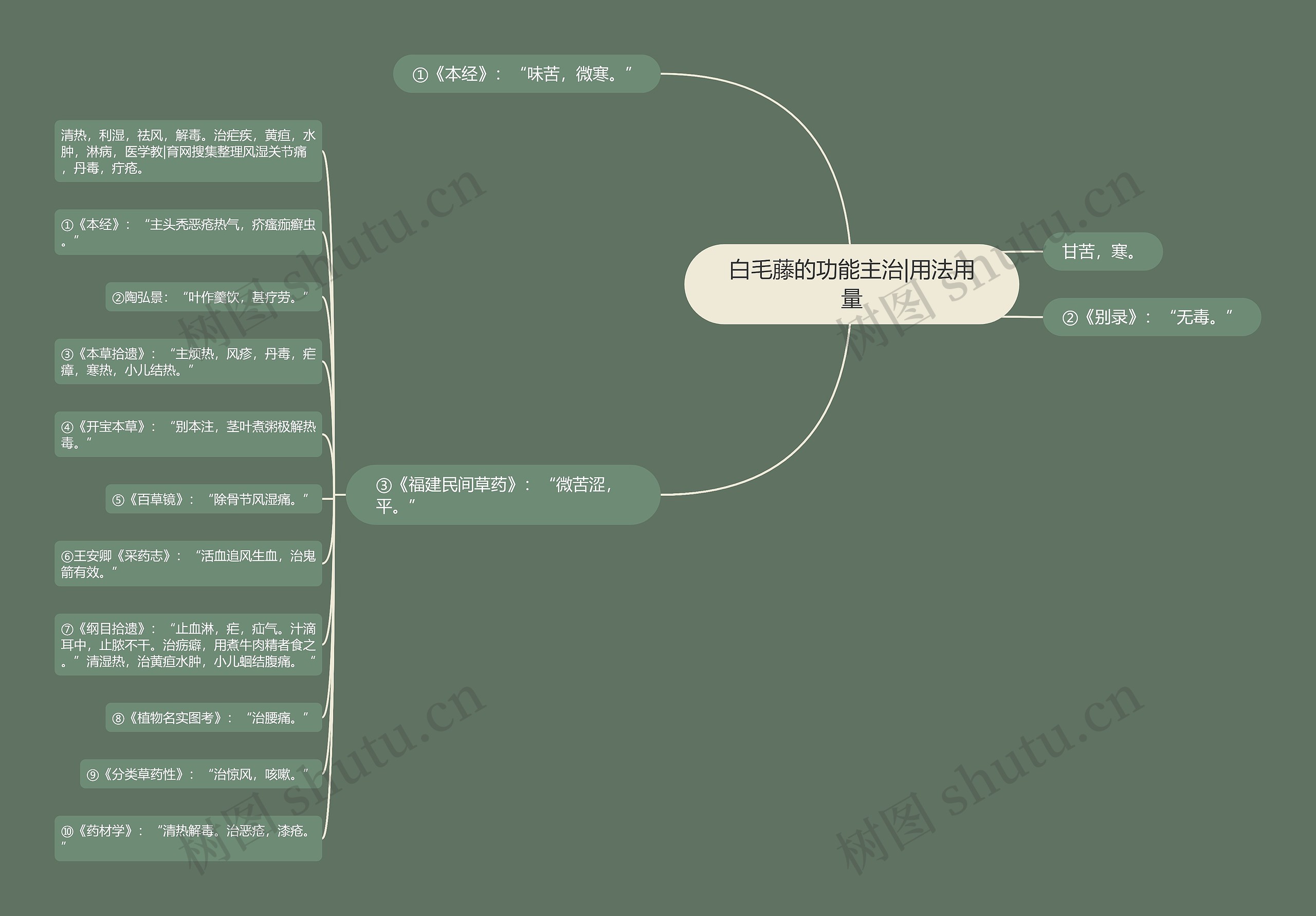 白毛藤的功能主治|用法用量思维导图