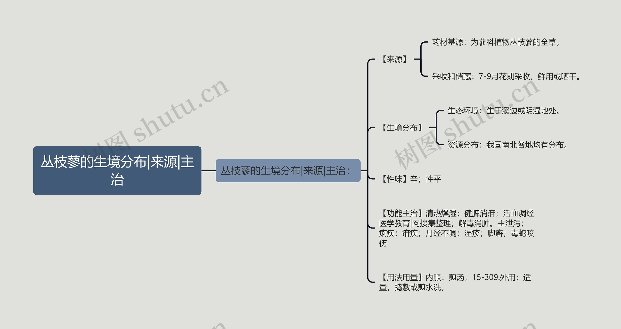 丛枝蓼的生境分布|来源|主治思维导图