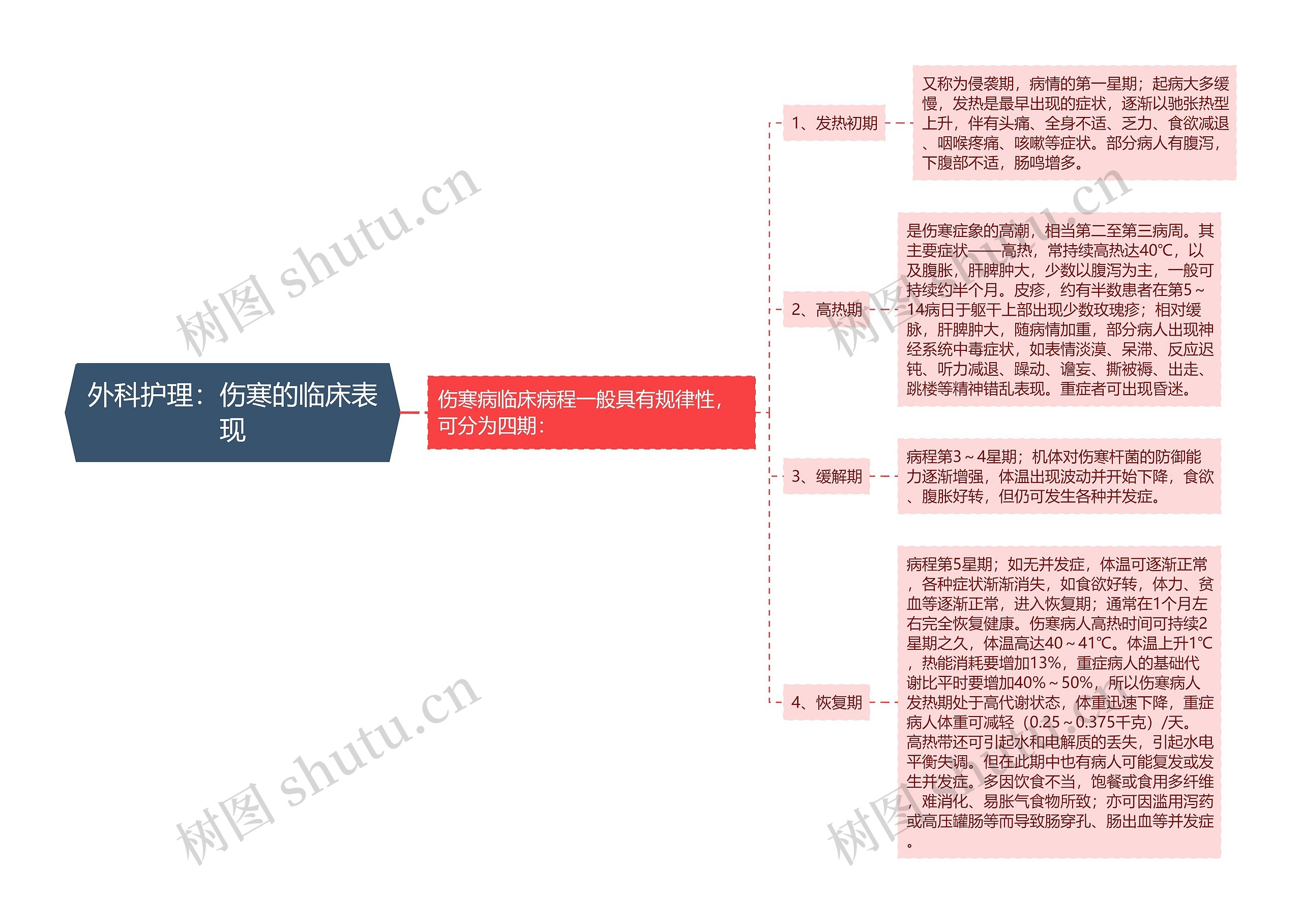 外科护理：伤寒的临床表现