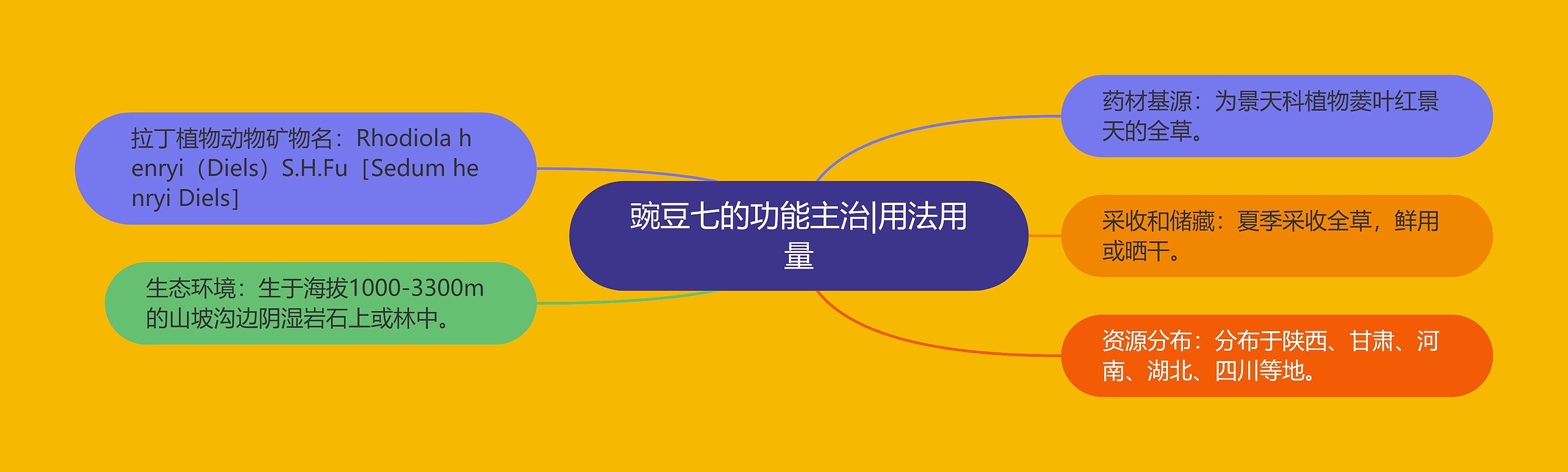 豌豆七的功能主治|用法用量 豌豆七的功能主治|用法用量