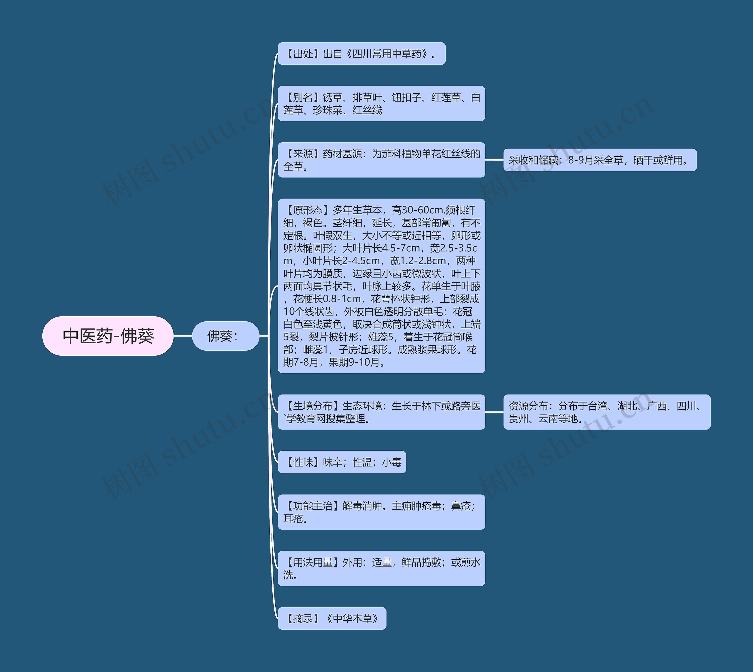 中医药-佛葵 中医药-佛葵