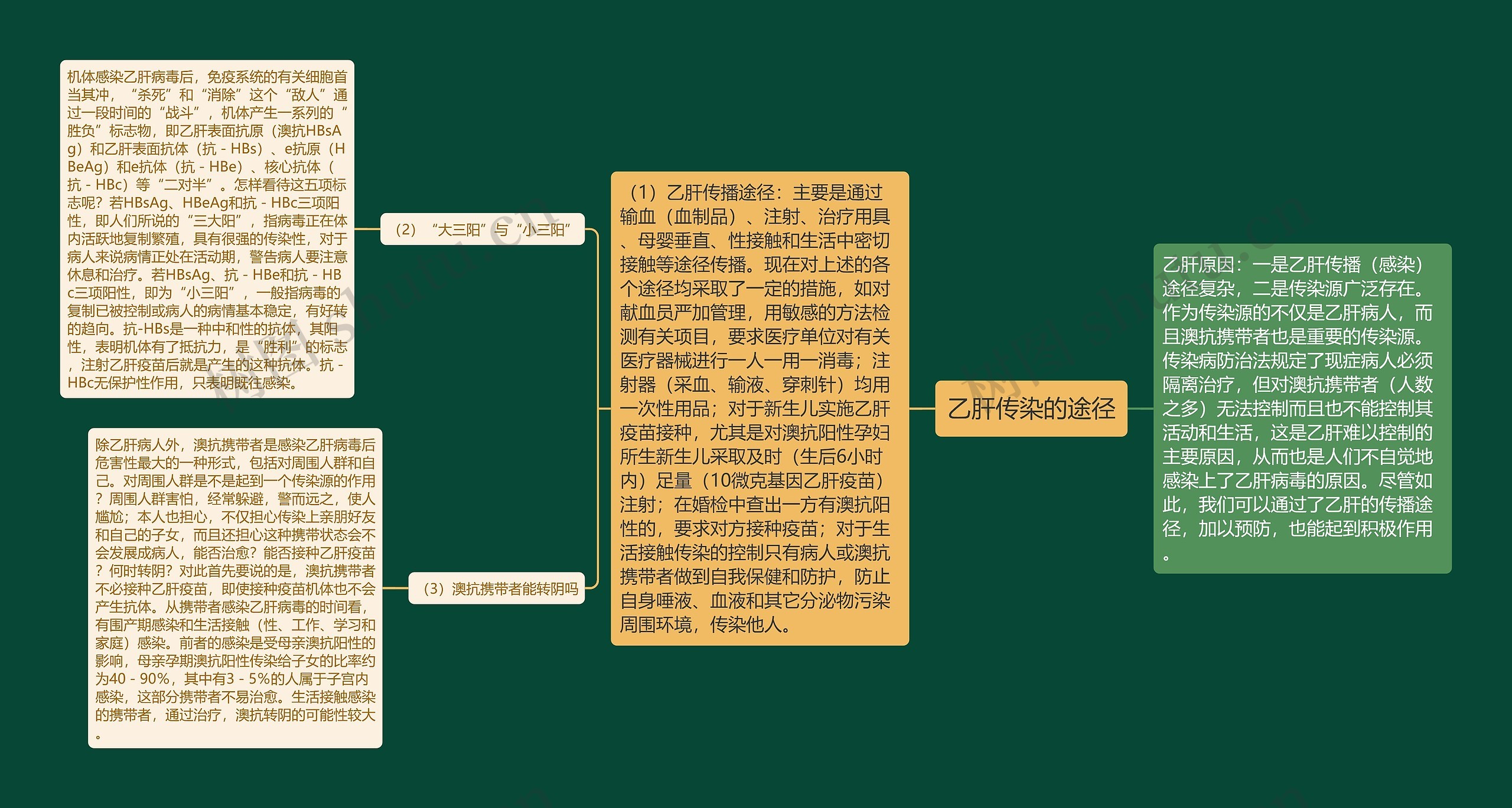 乙肝传染的途径思维导图