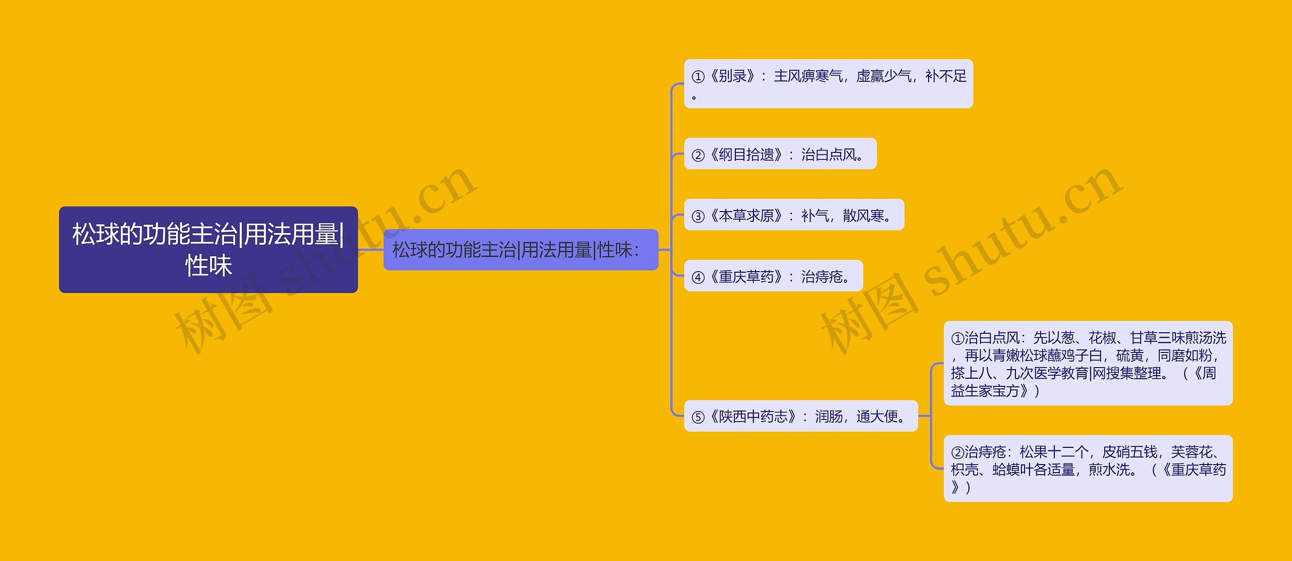 松球的功能主治|用法用量|性味思维导图