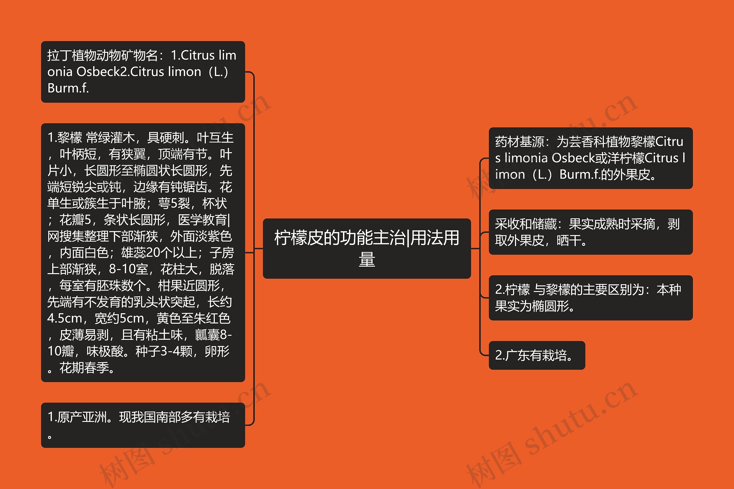 柠檬皮的功能主治|用法用量思维导图