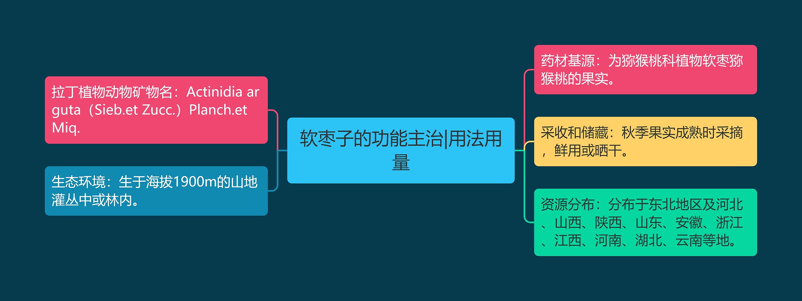 软枣子的功能主治|用法用量思维导图