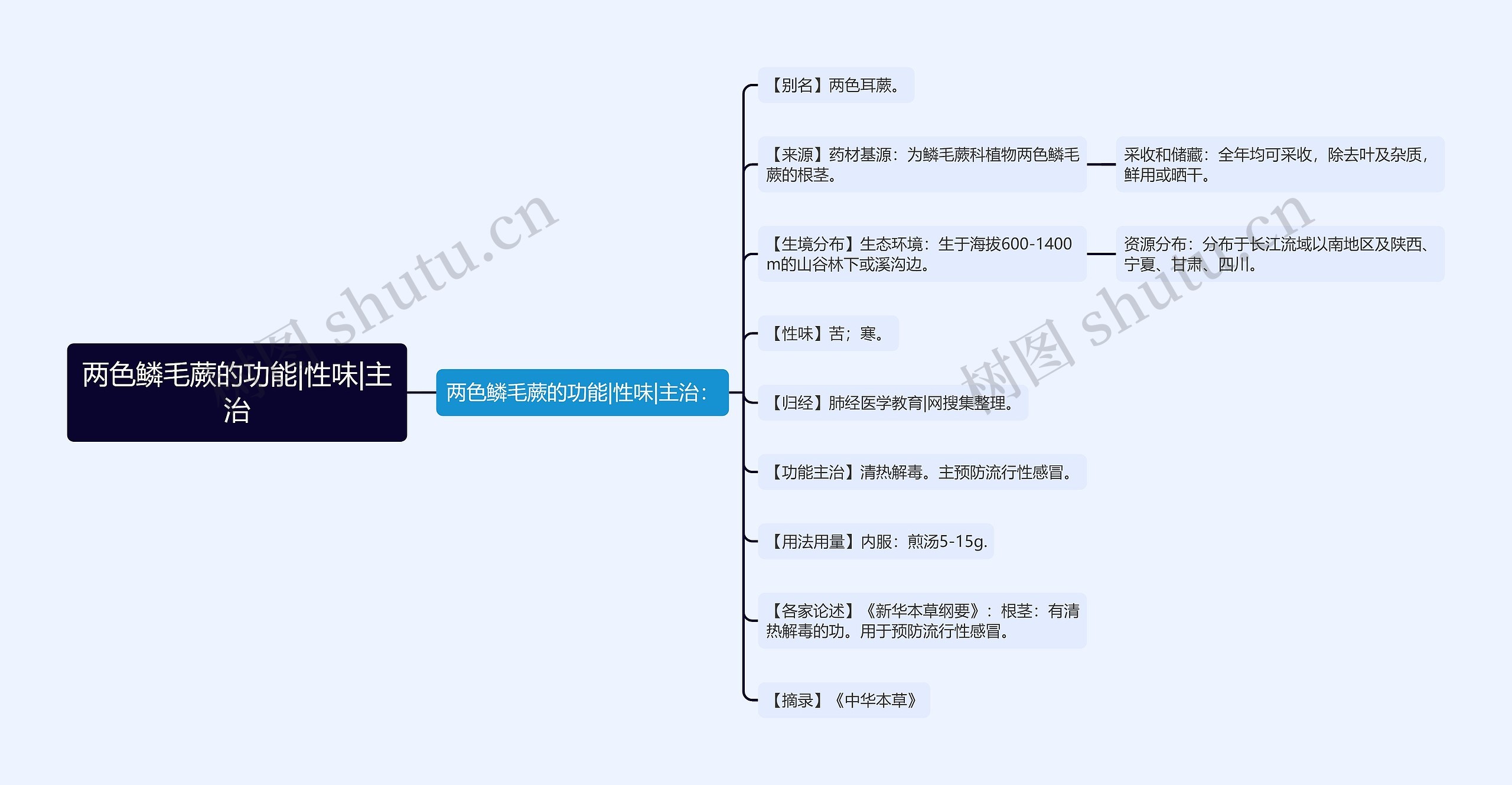 两色鳞毛蕨的功能|性味|主治思维导图