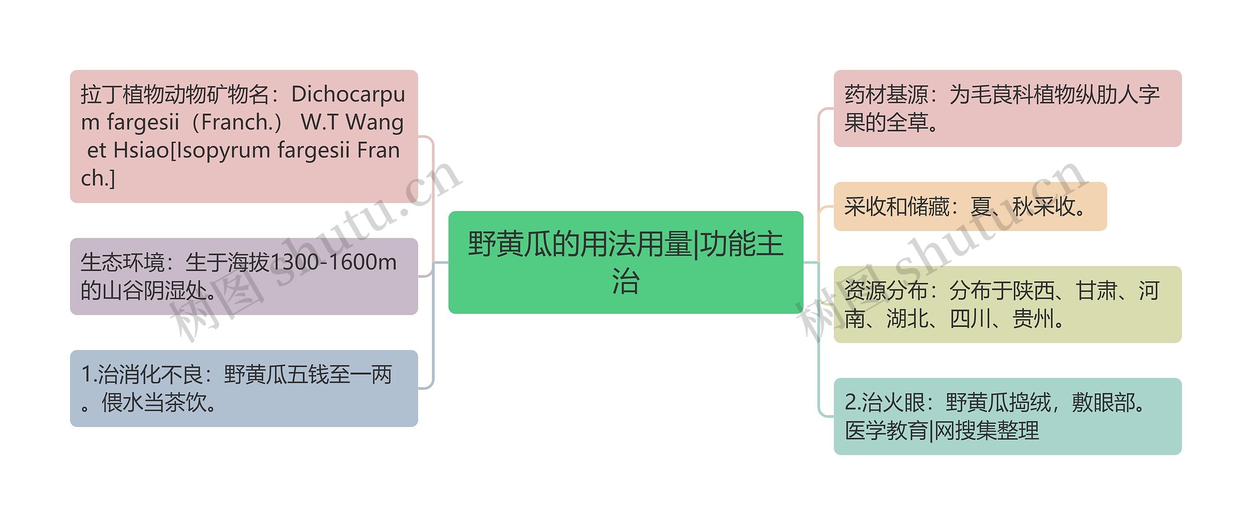 野黄瓜的用法用量|功能主治思维导图