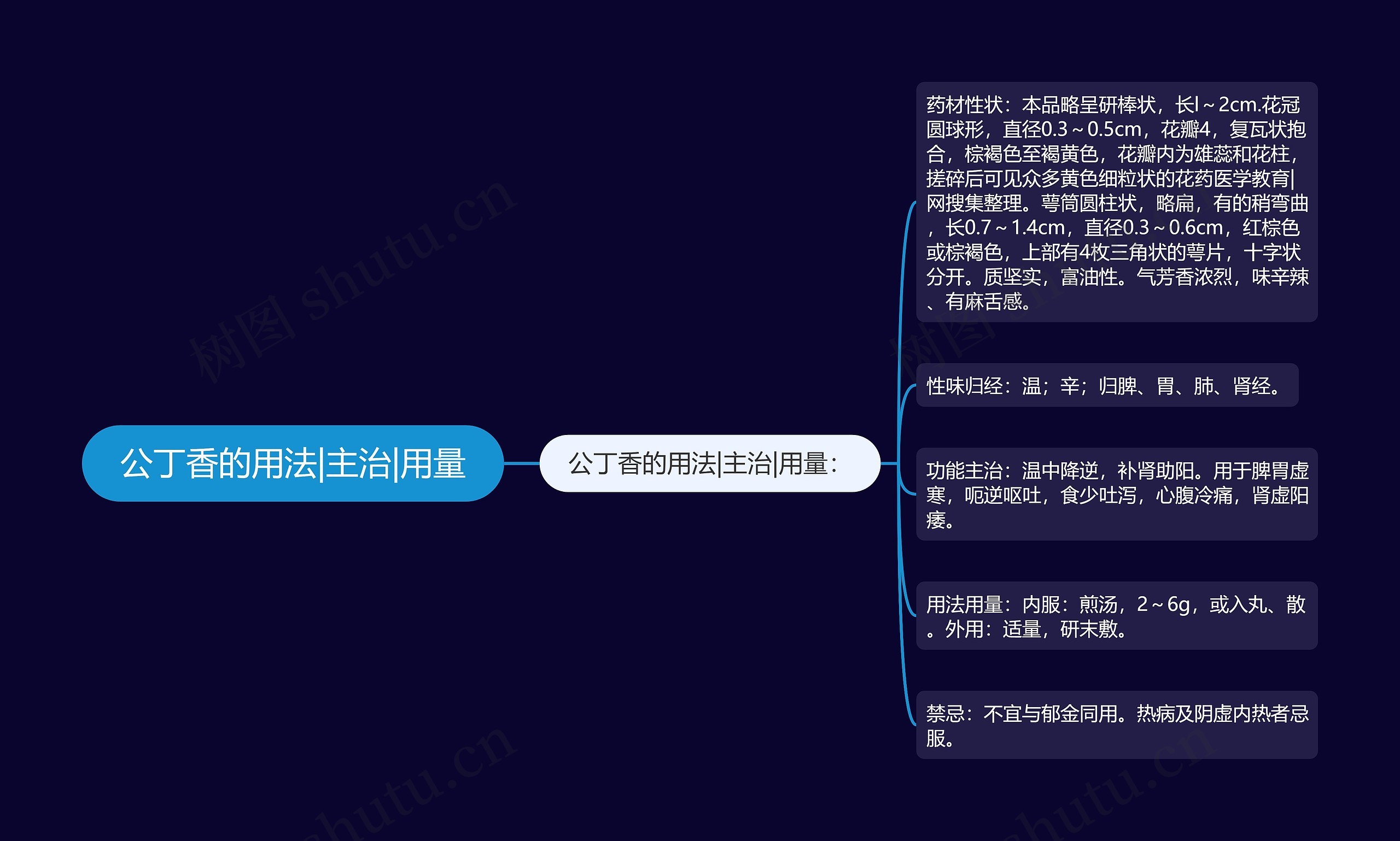 公丁香的用法|主治|用量思维导图