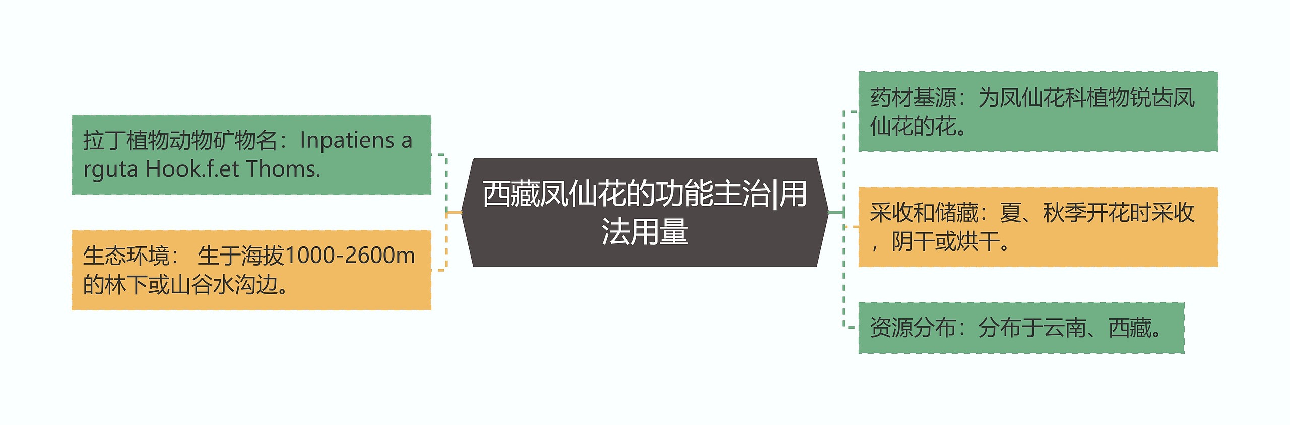 西藏凤仙花的功能主治|用法用量 西藏凤仙花的功能主治|用法用量