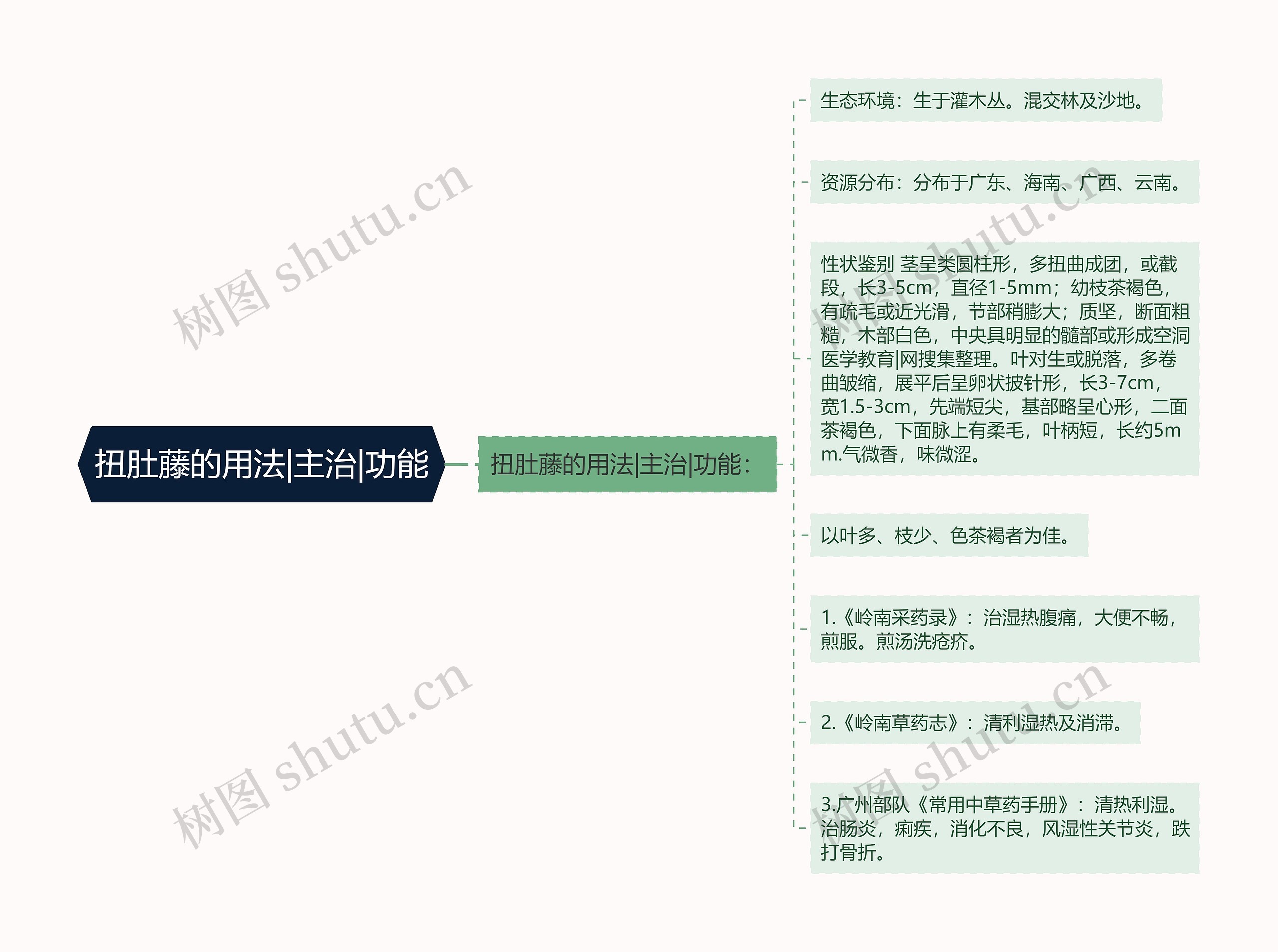 扭肚藤的用法|主治|功能思维导图