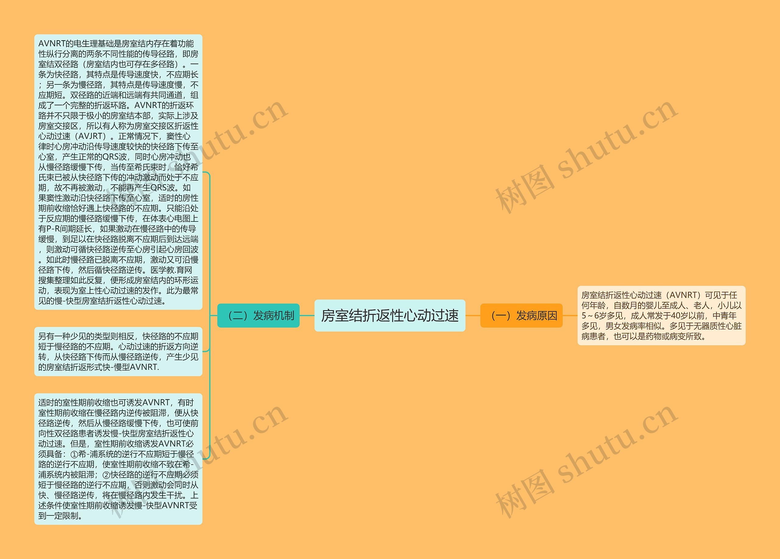 房室结折返性心动过速思维导图