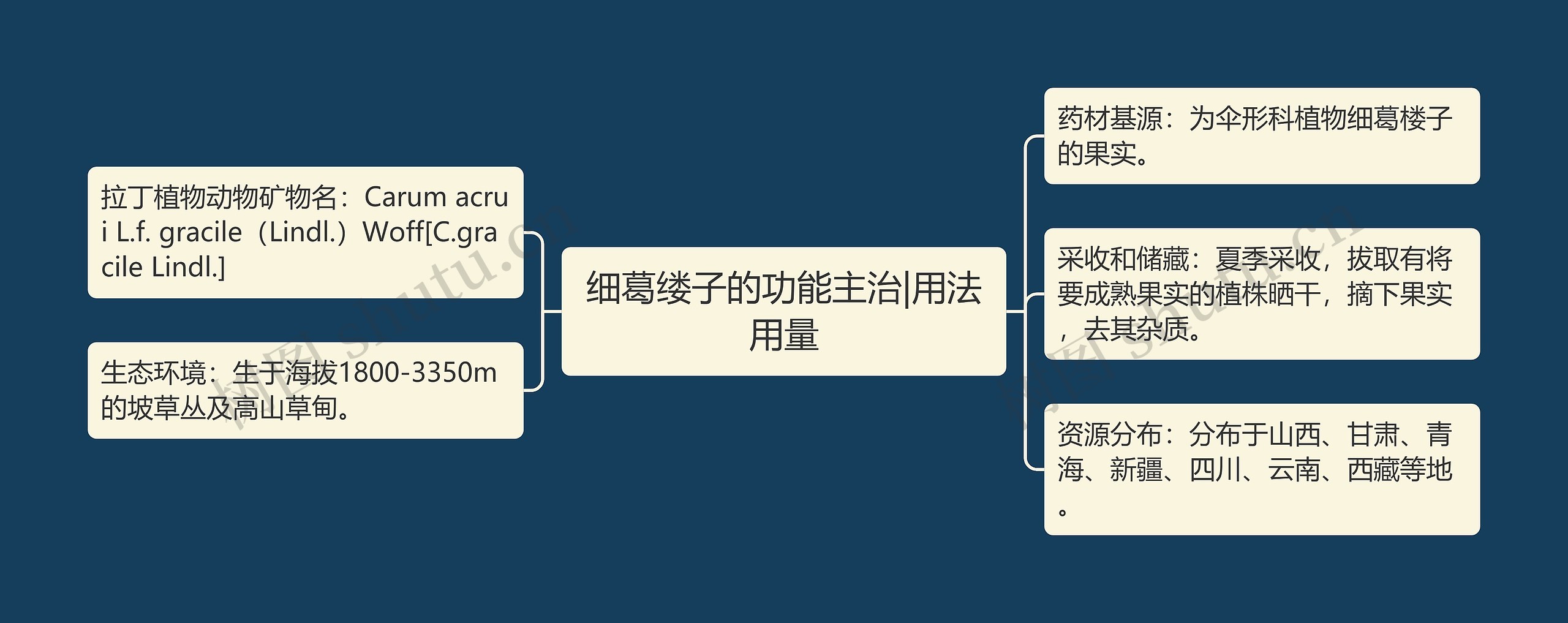 细葛缕子的功能主治|用法用量思维导图