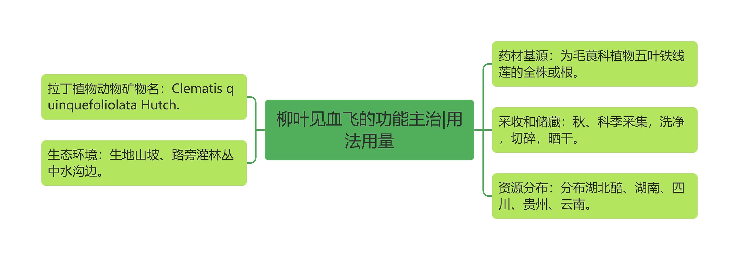 柳叶见血飞的功能主治|用法用量