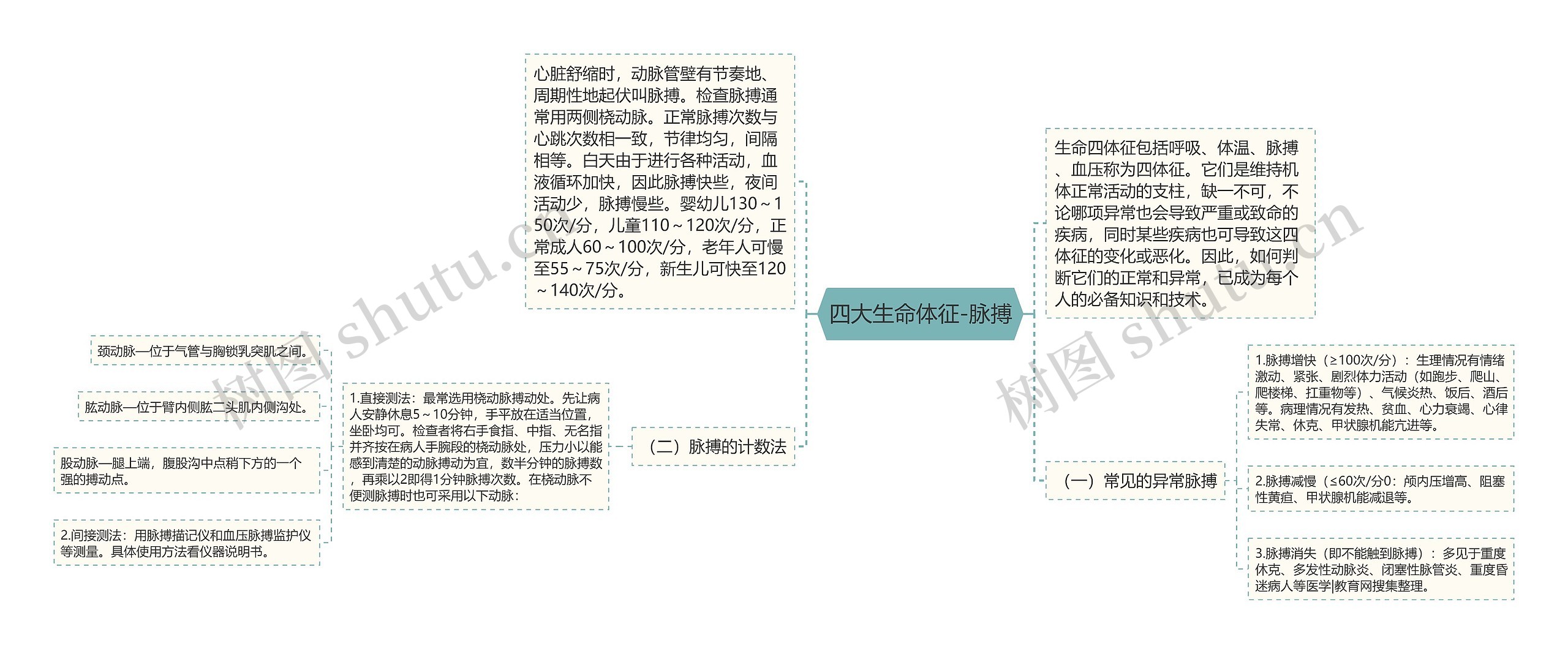 四大生命体征-脉搏思维导图