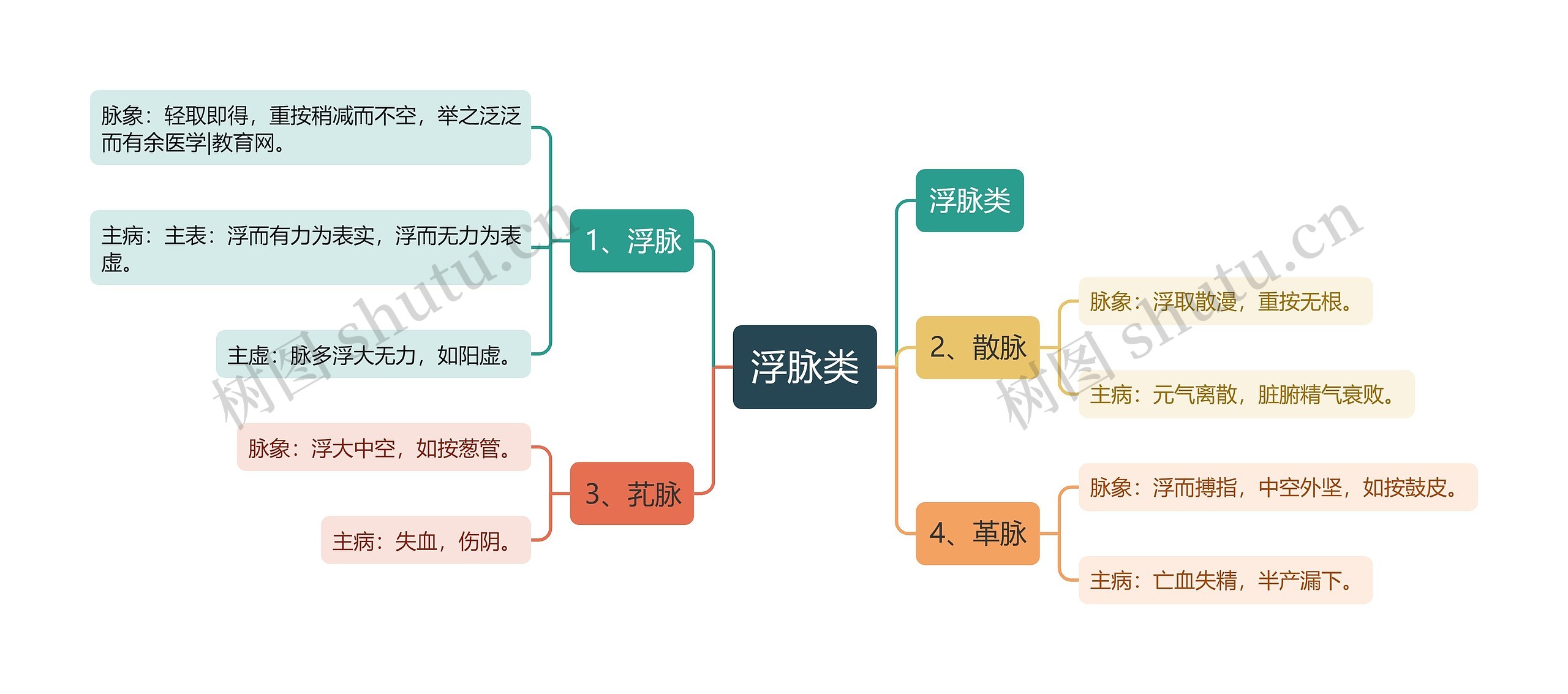 浮脉类思维导图