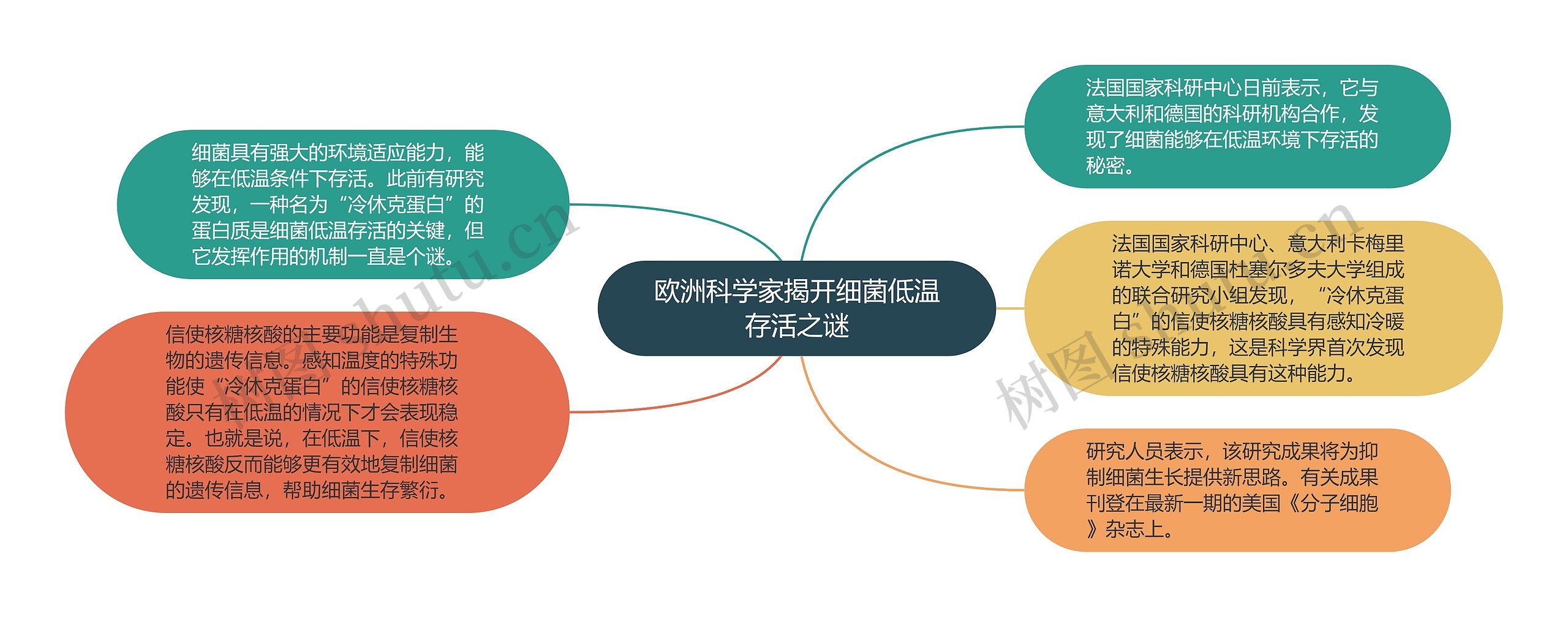 欧洲科学家揭开细菌低温存活之谜思维导图