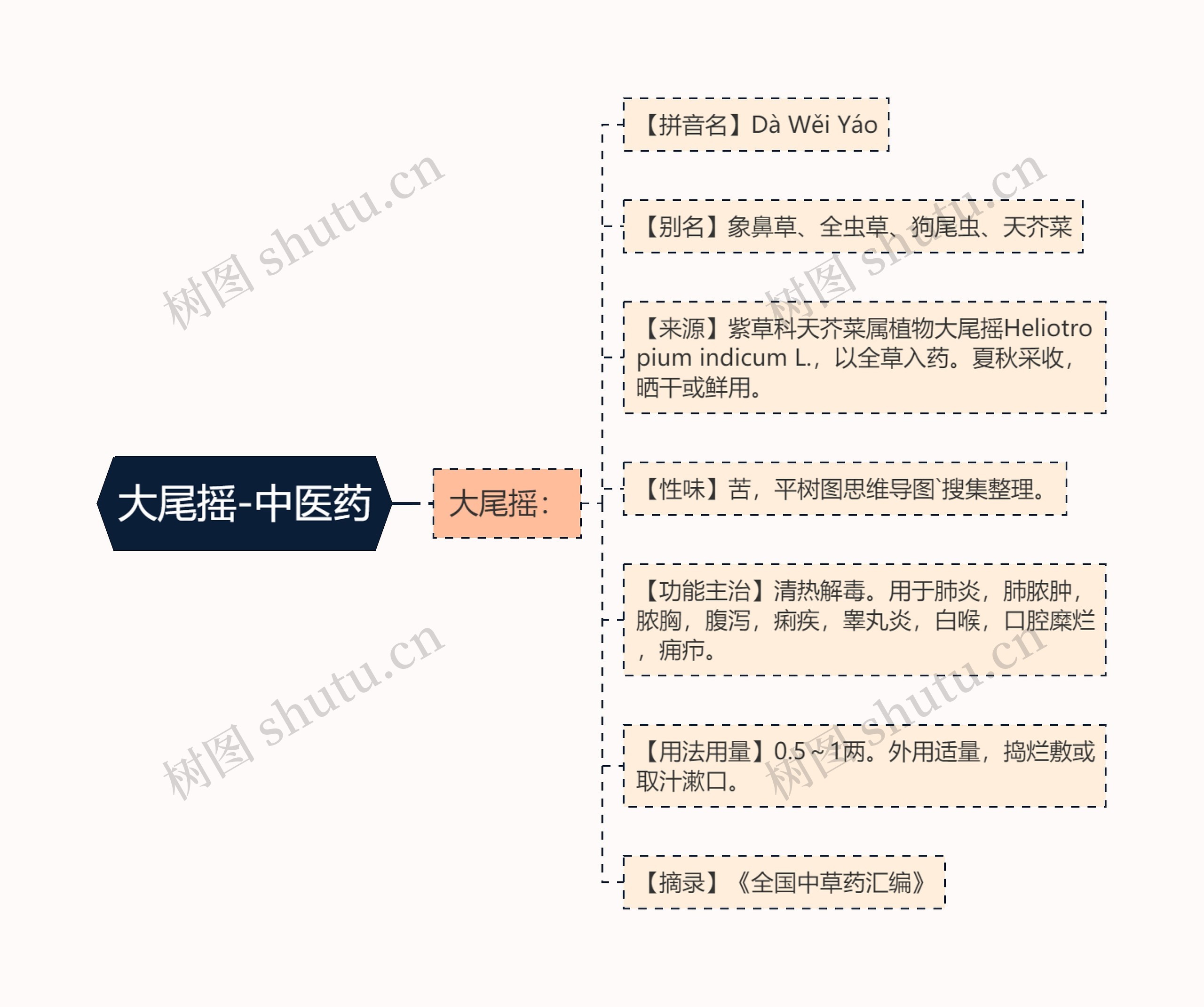 大尾摇-中医药 大尾摇-中医药