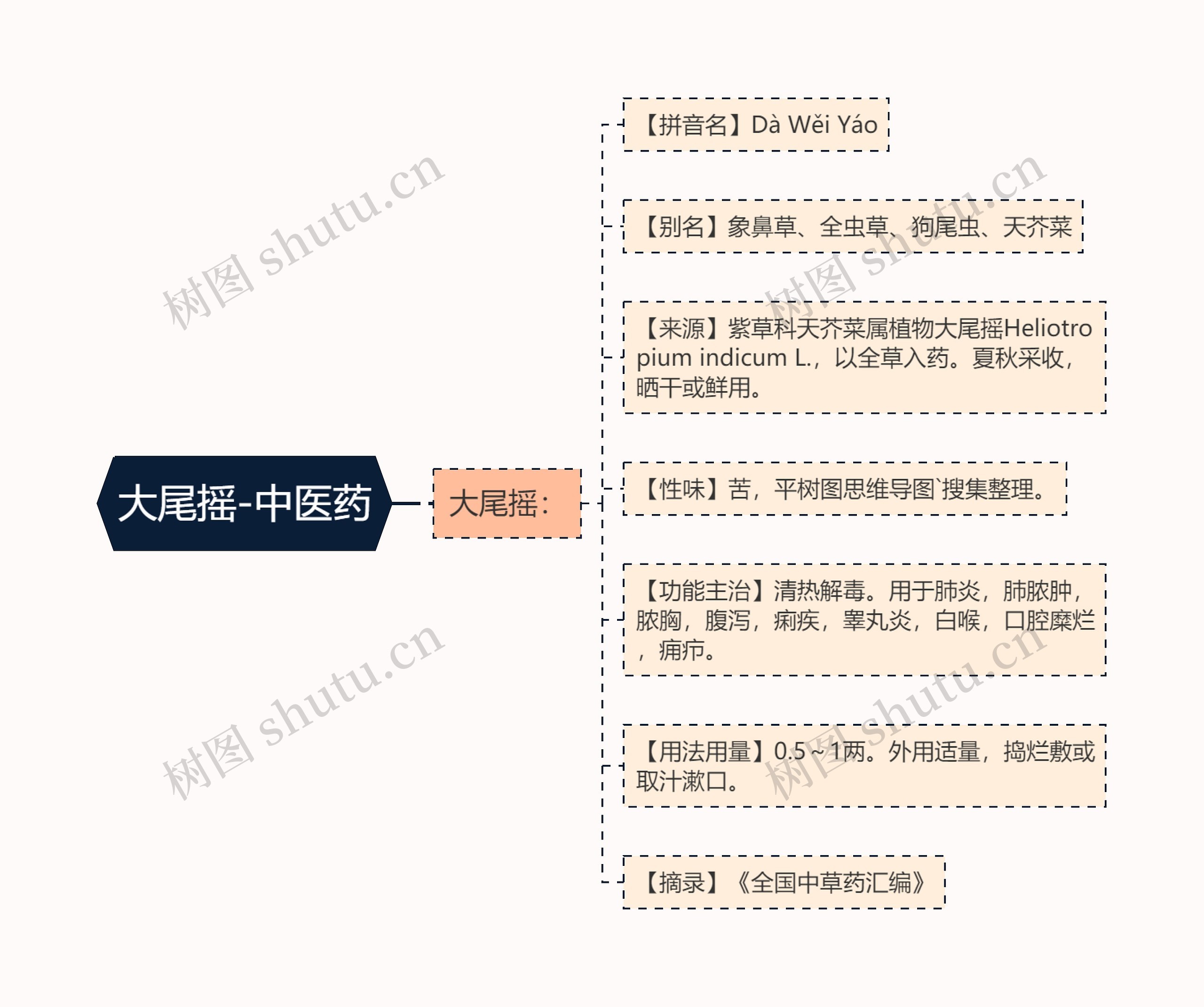 大尾摇-中医药思维导图