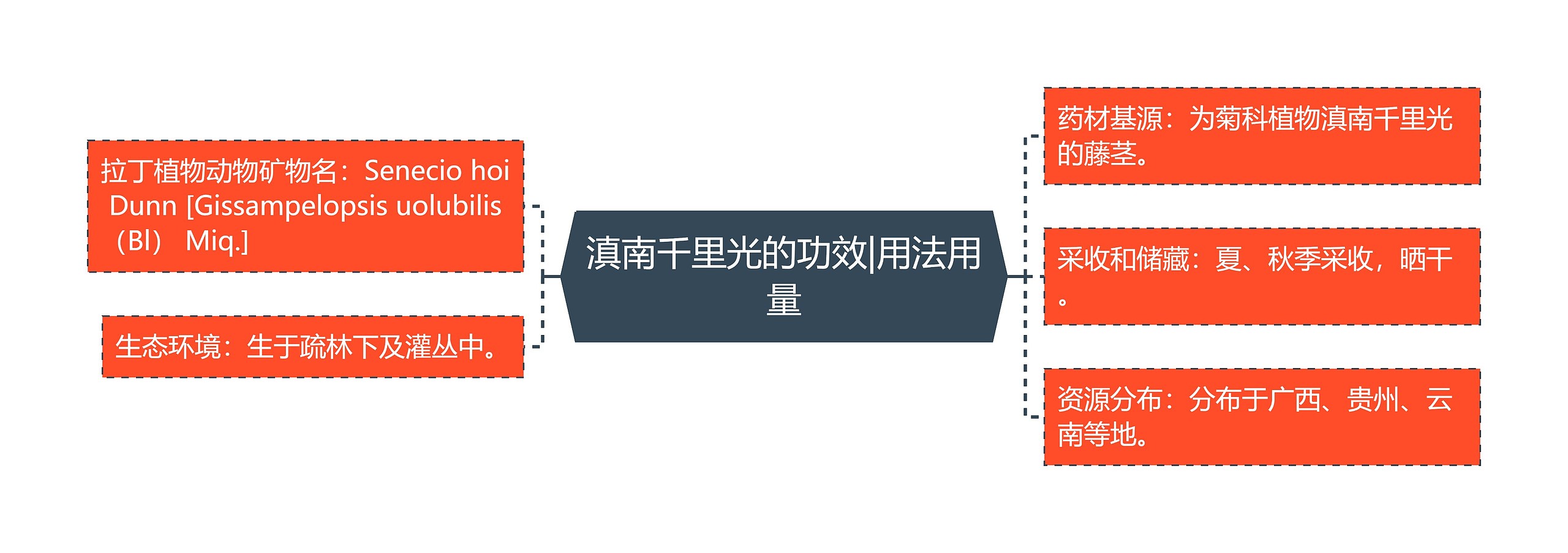 滇南千里光的功效|用法用量 滇南千里光的功效|用法用量