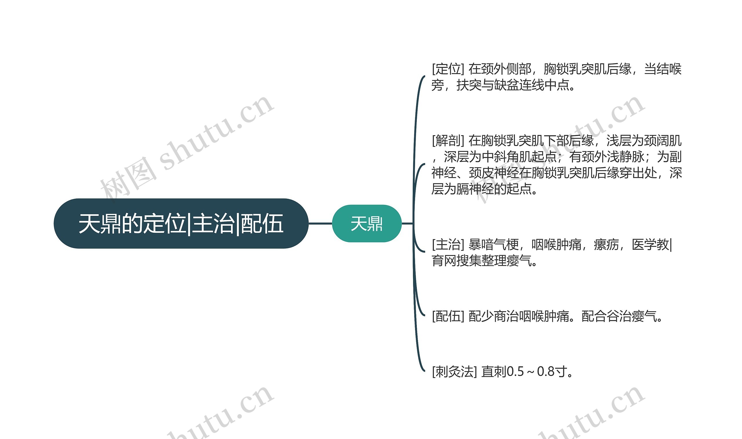 天鼎的定位|主治|配伍思维导图