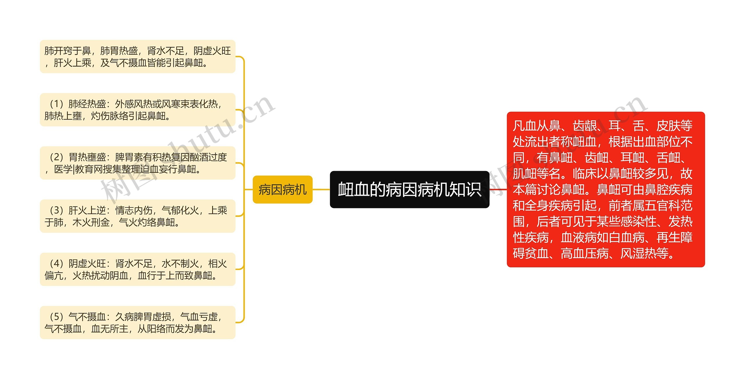 衄血的病因病机知识思维导图