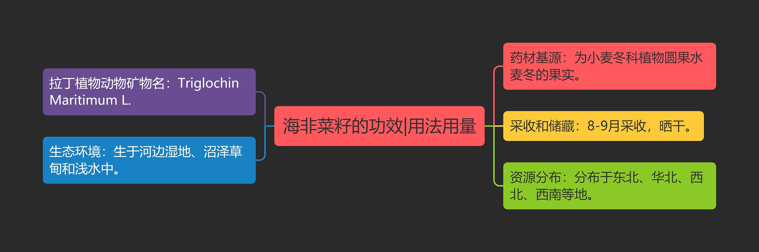 海非菜籽的功效|用法用量