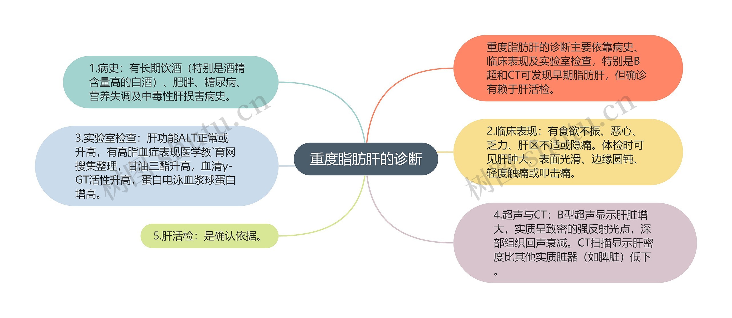 重度脂肪肝的诊断