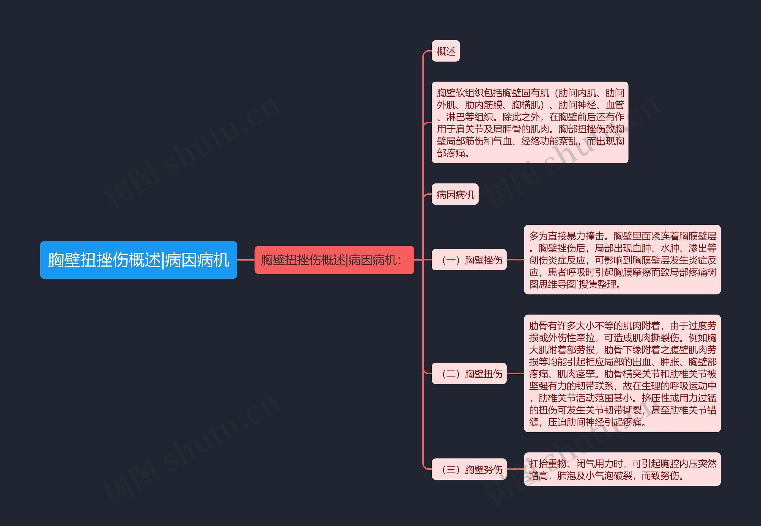 胸壁扭挫伤概述|病因病机思维导图