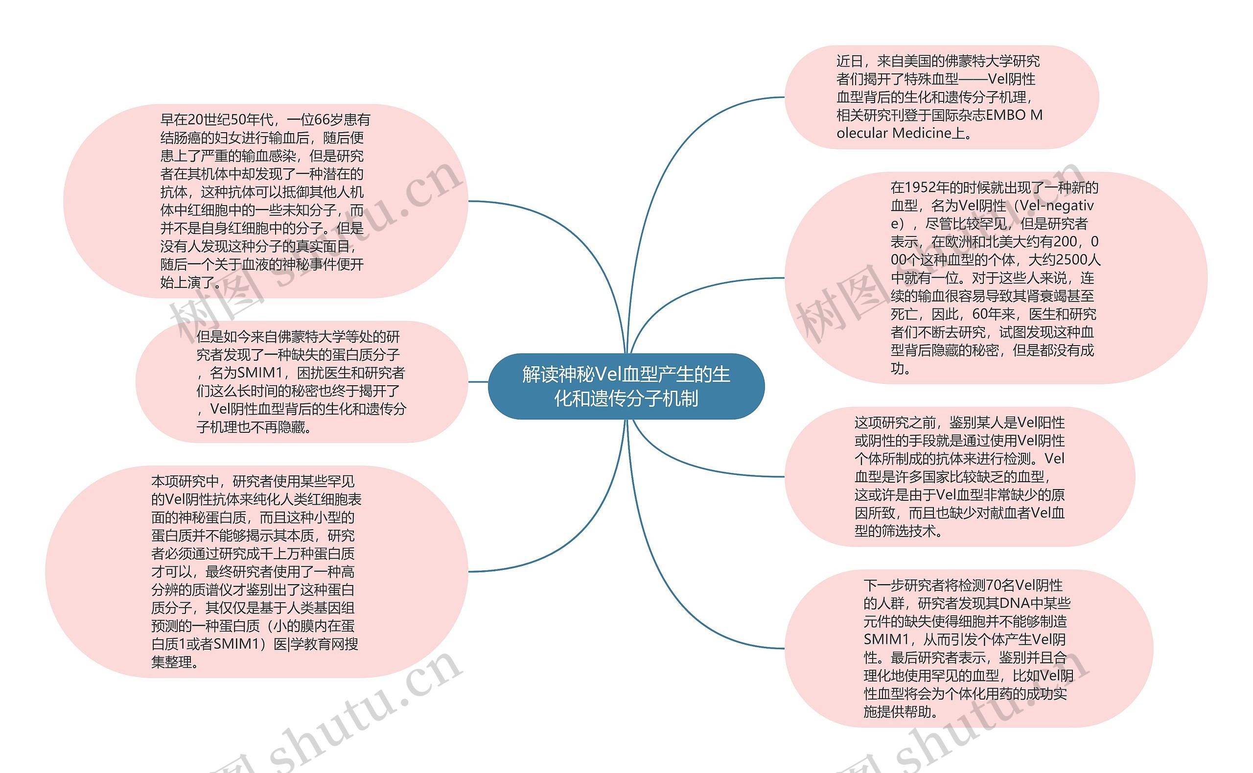 解读神秘Vel血型产生的生化和遗传分子机制