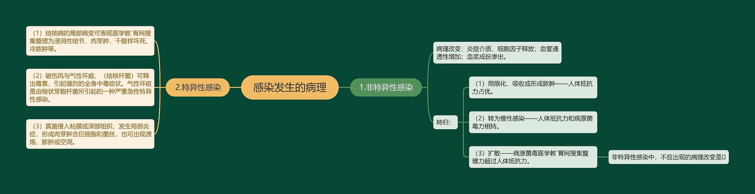 感染发生的病理思维导图